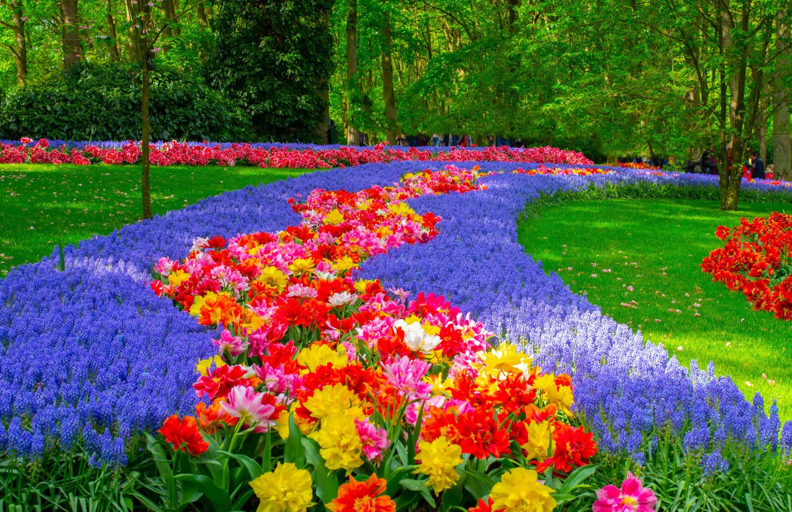 Pentax K-5 sample photo. Netherlands, holland, keukenhof photography