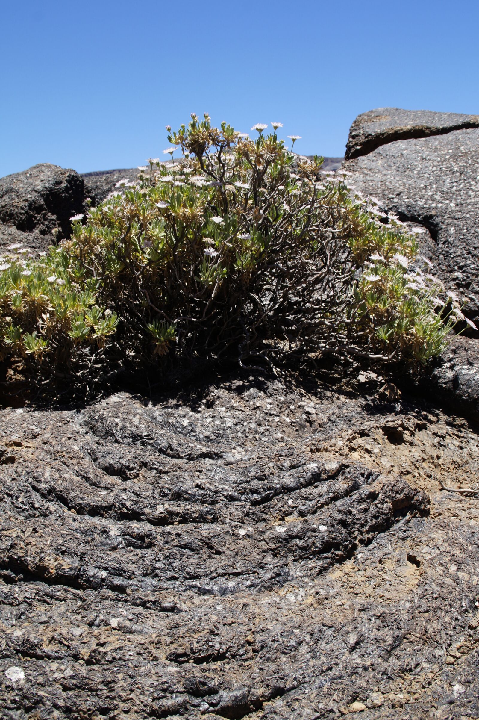Sony SLT-A58 sample photo. Teide national park, national photography