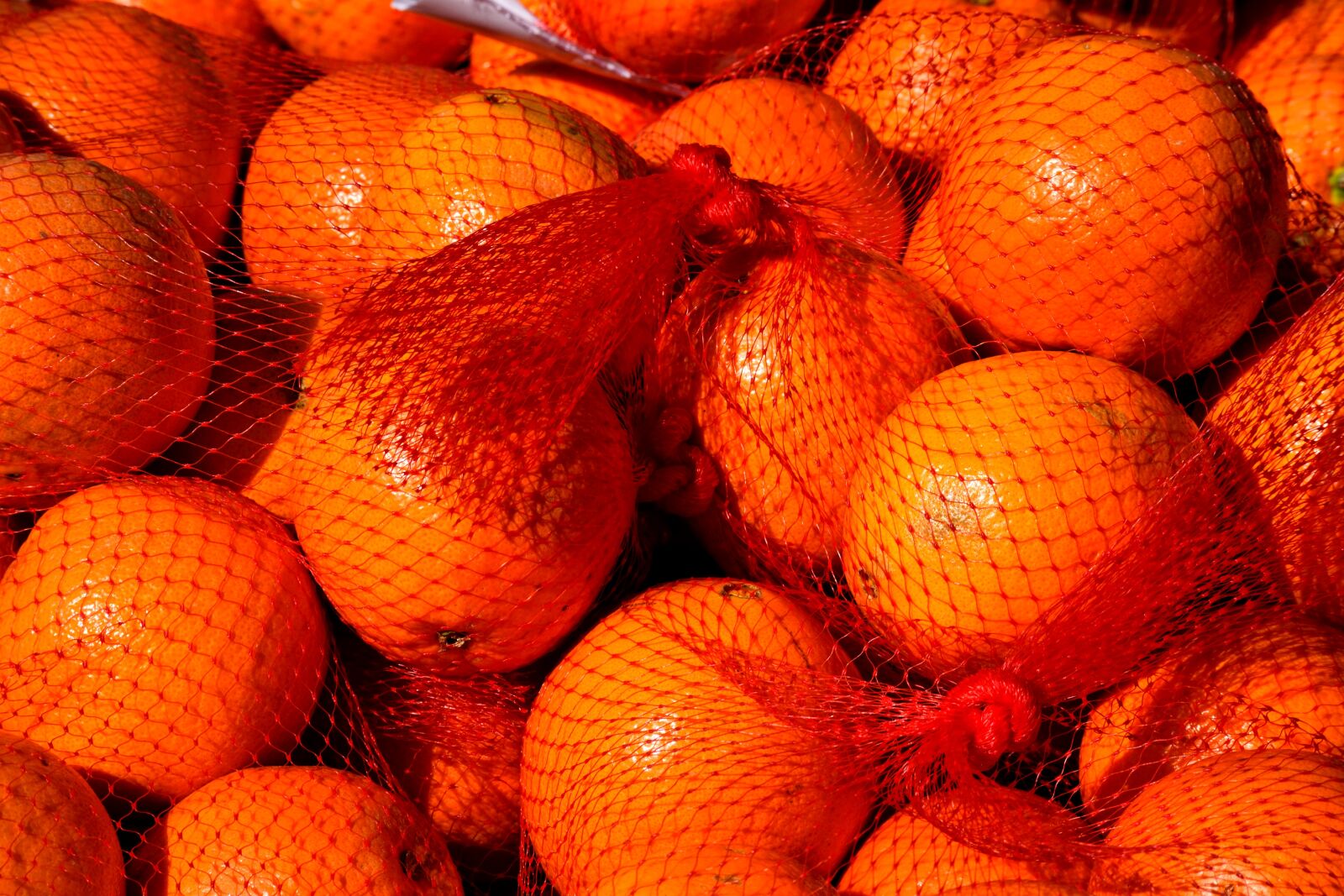 Nikon D3300 sample photo. Oranges, fruit, citrus photography