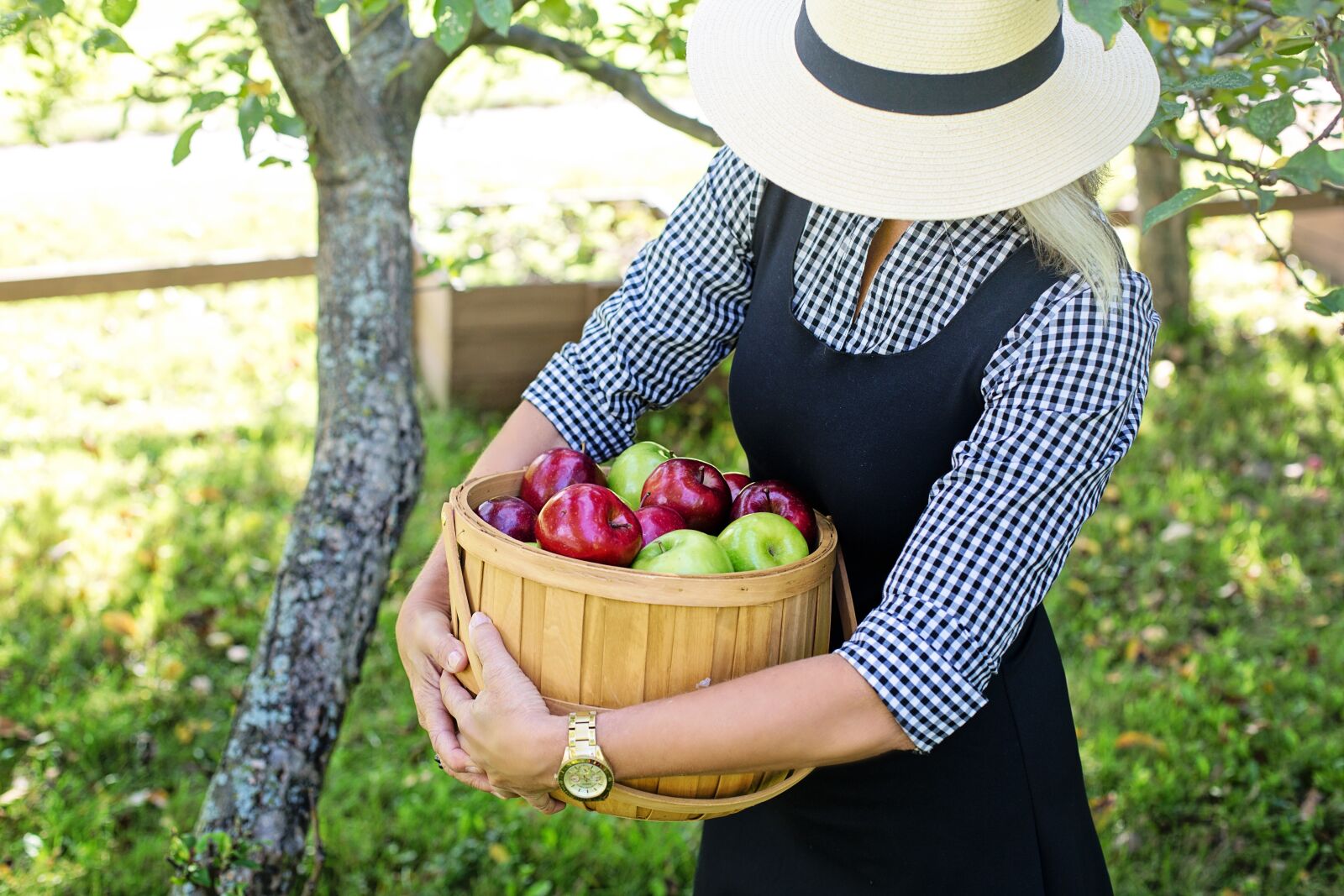 Canon EF 50mm F1.4 USM sample photo. Apples, basket of apples photography