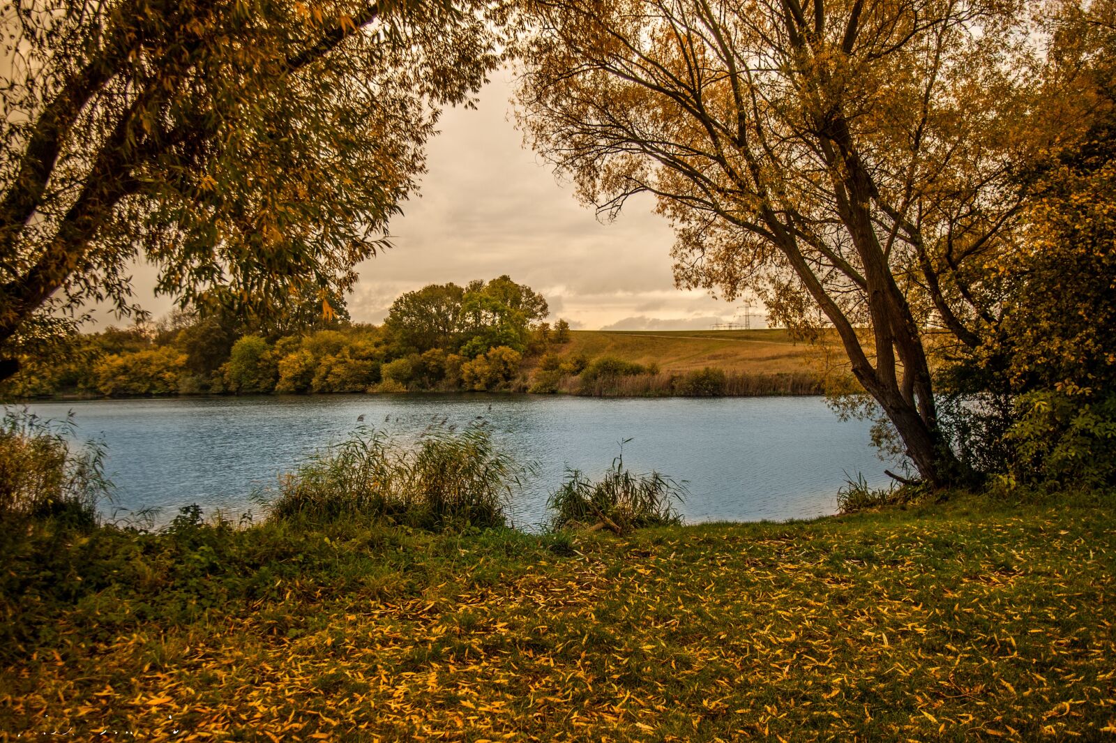 Nikon D700 sample photo. Autumn, little lake, leaves photography