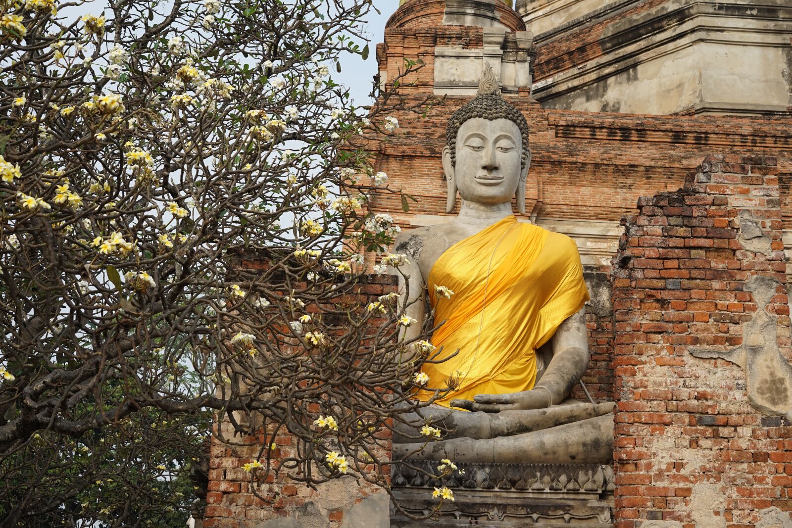 Sony Sonnar T* FE 55mm F1.8 ZA sample photo. Thailand, buddha, temple photography