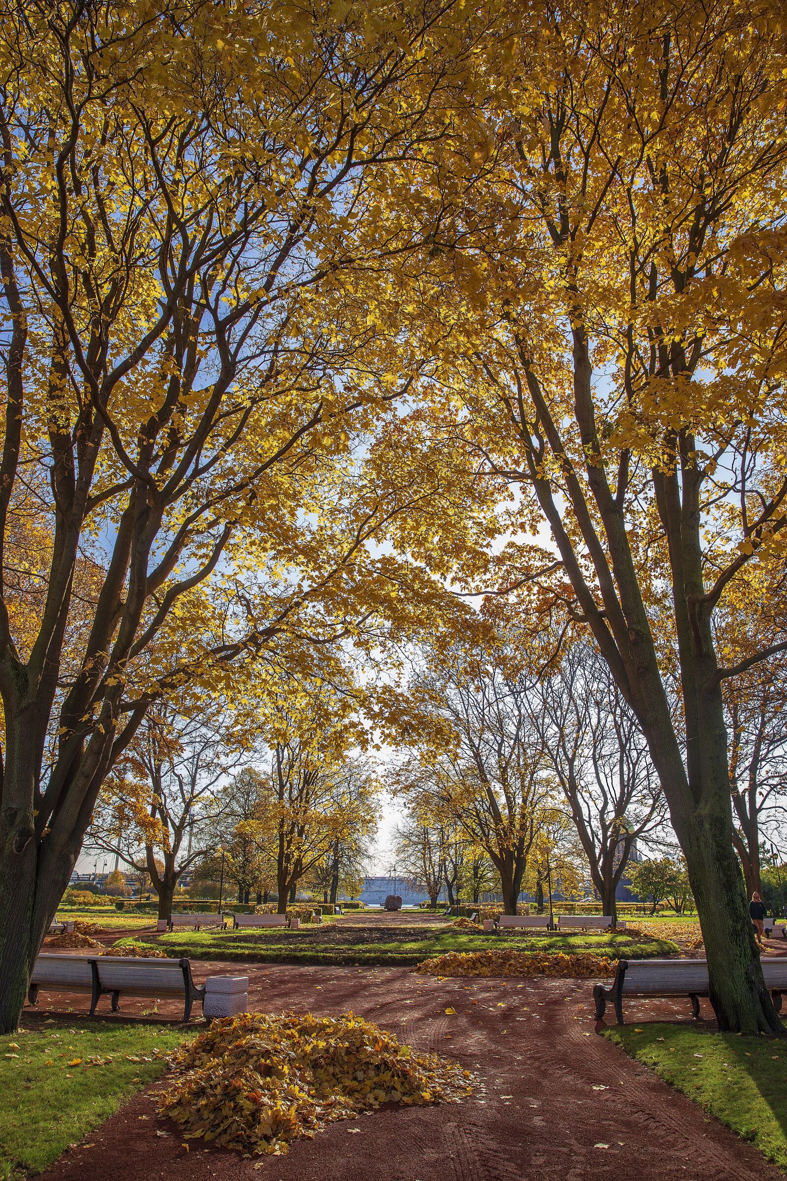 Canon EOS 6D sample photo. Autumn, russia, petersburg photography