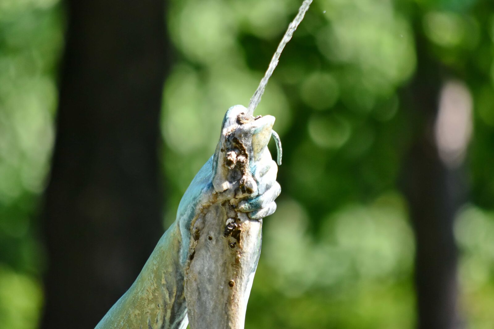 Nikon D5500 sample photo. Bronze, fish, fountain, hand photography
