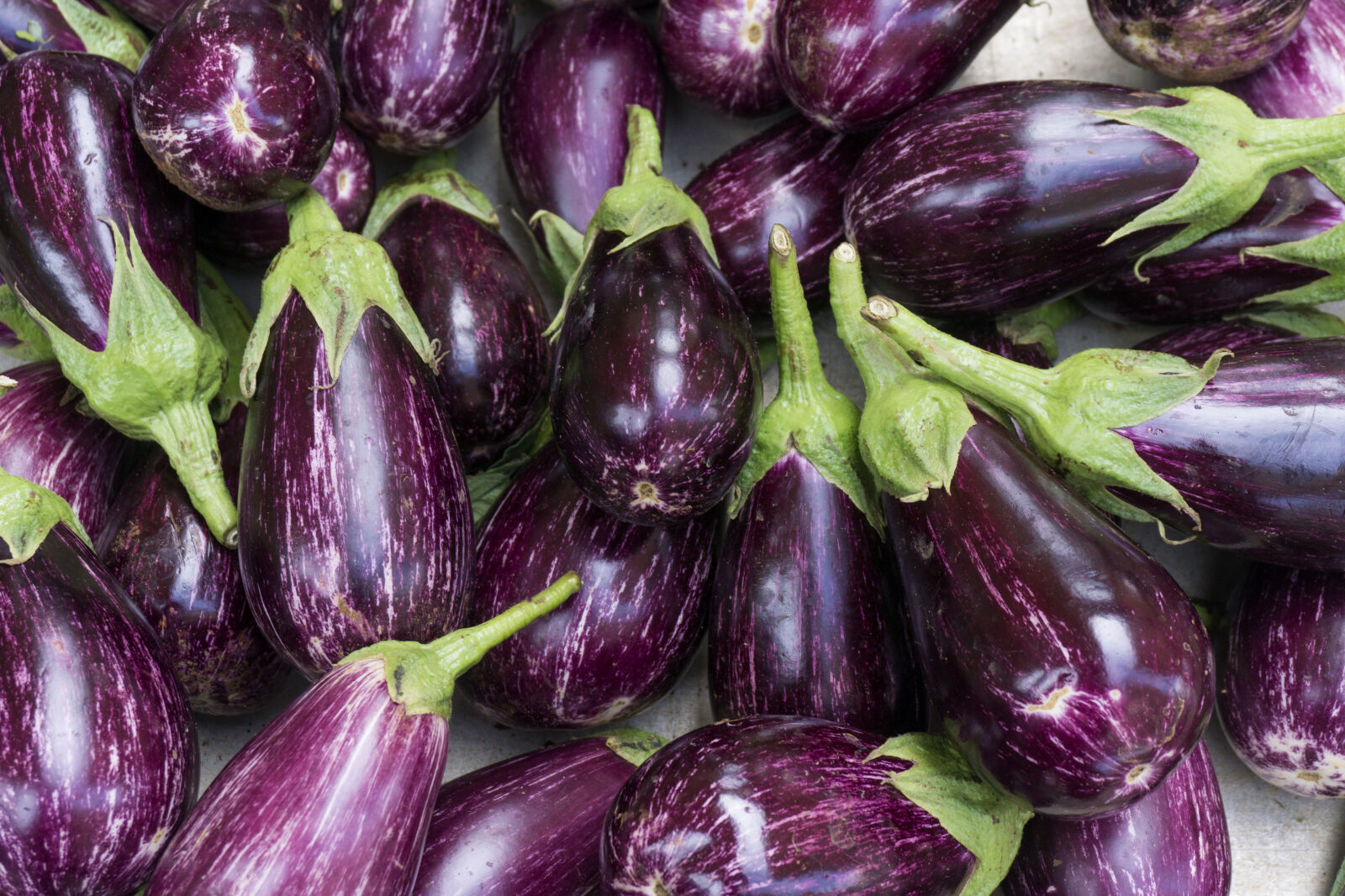 Sony a6000 sample photo. Aubergine, background, color, eggplant photography
