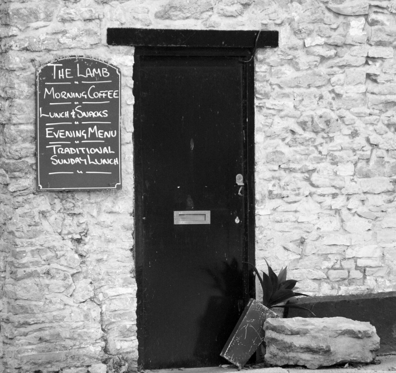 Sony Alpha DSLR-A230 sample photo. Black, white, door photography