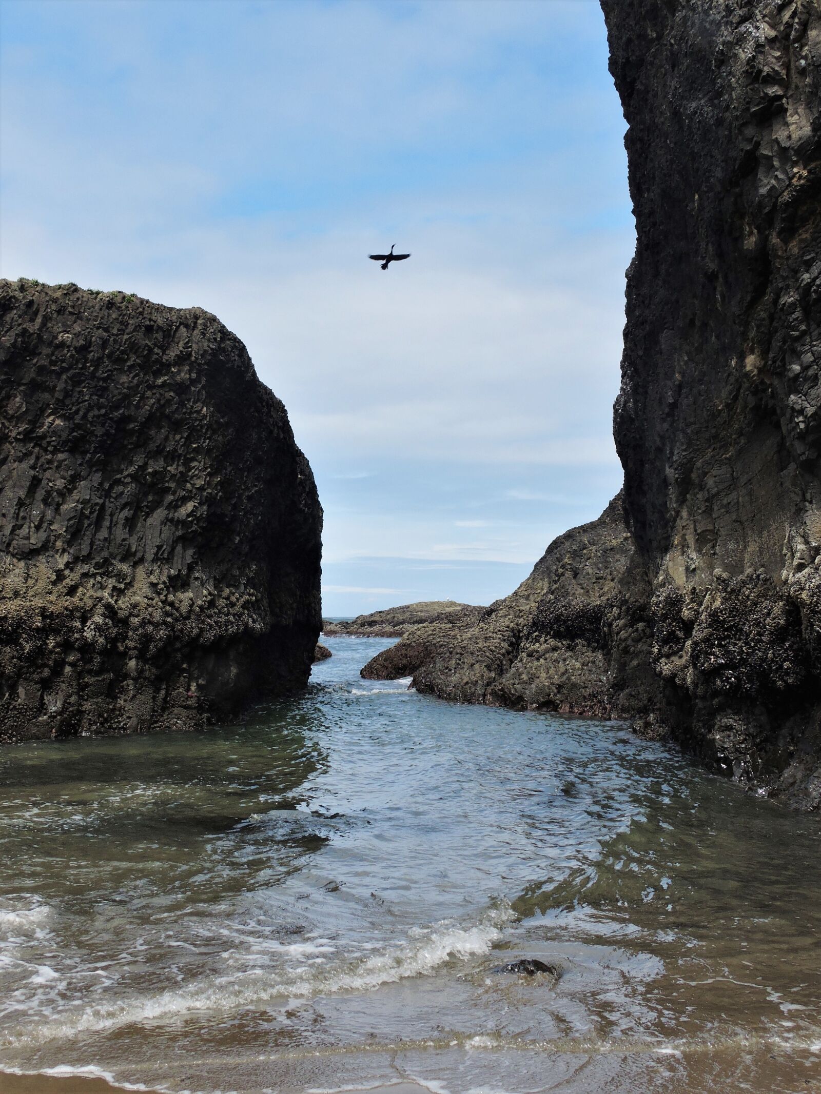 Nikon Coolpix P600 sample photo. Coast, oregon coast, ocean photography