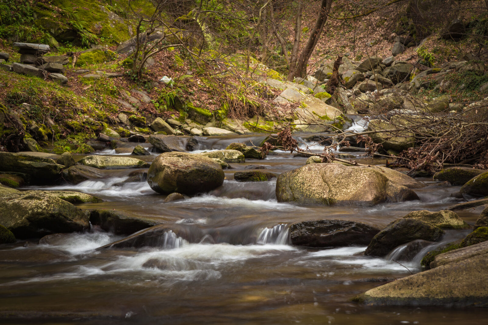 Canon EF 24-105mm F4L IS USM sample photo. Beautiful, boulders, branches, cascade photography