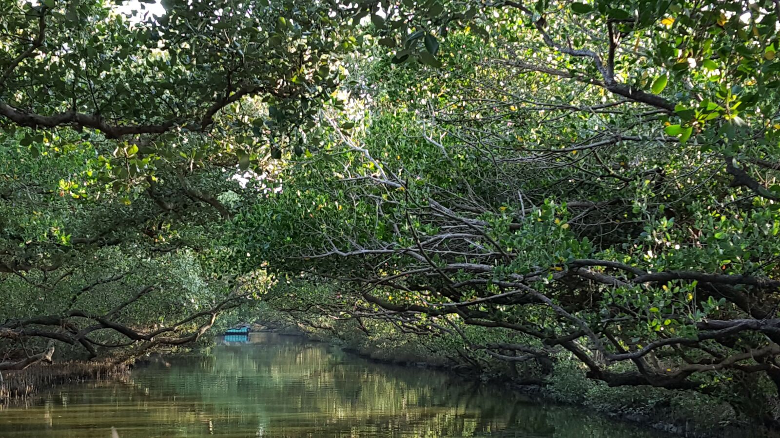 Samsung Galaxy Note5 sample photo. Tainan, taiwan, river photography