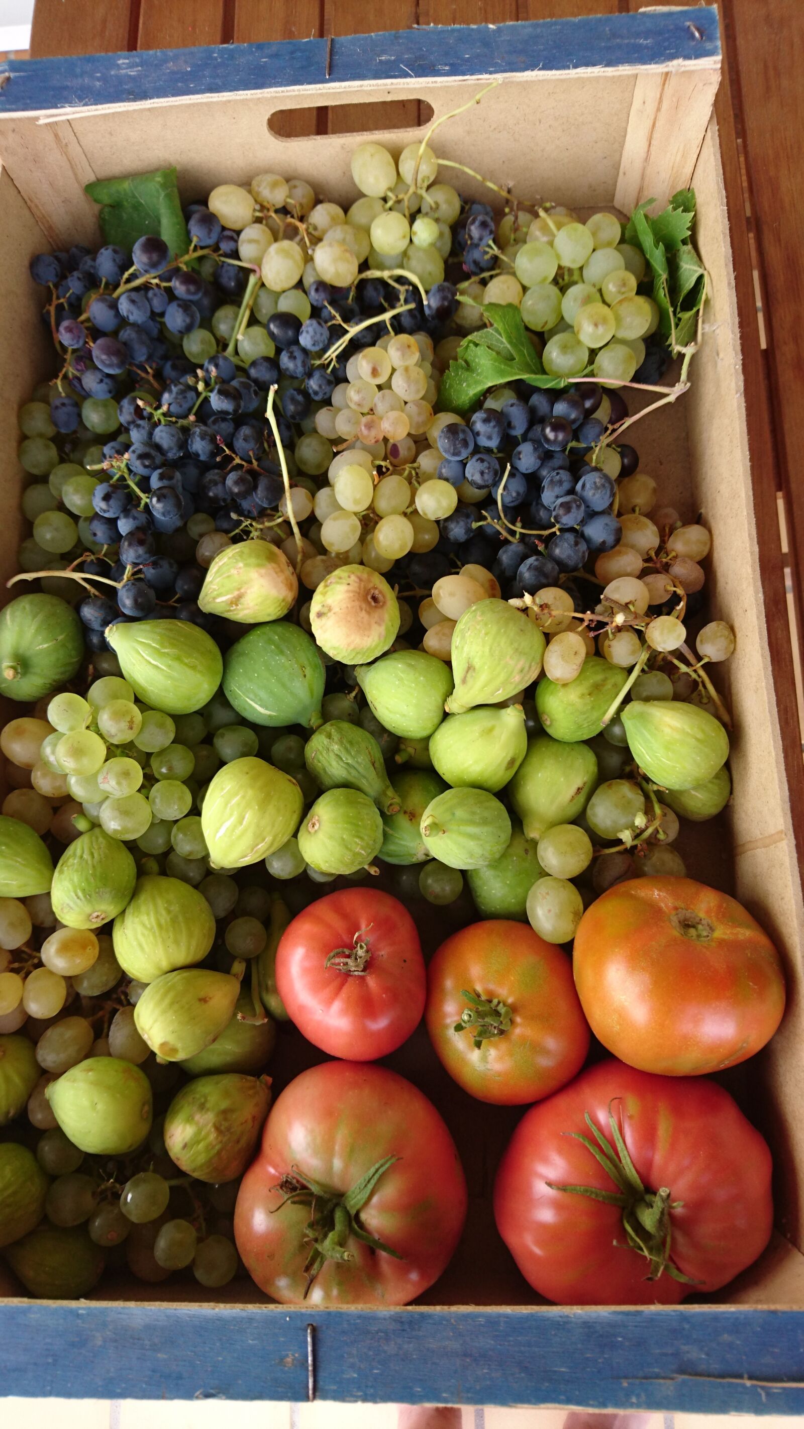 Sony Xperia Z5 sample photo. Fresh fruit, france, food photography