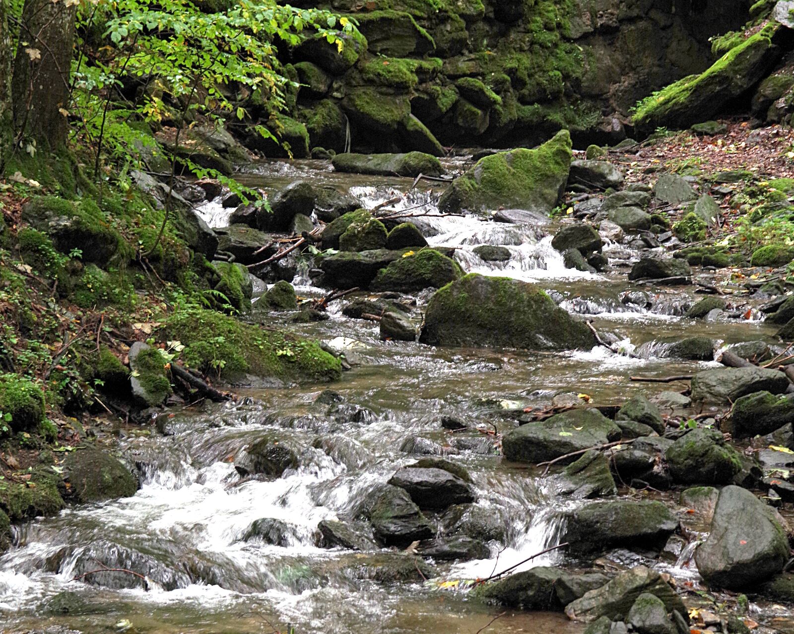 Pentax K-S2 sample photo. Stream, torrent, mountain photography