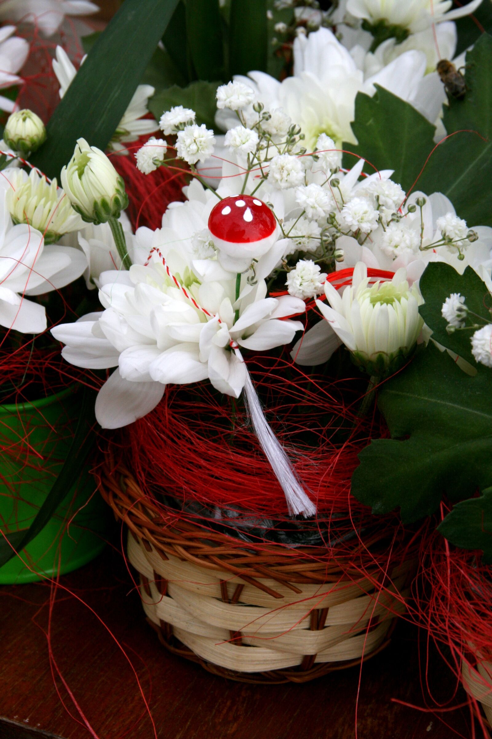 Canon EOS 400D (EOS Digital Rebel XTi / EOS Kiss Digital X) sample photo. Flower, mushroom, white photography