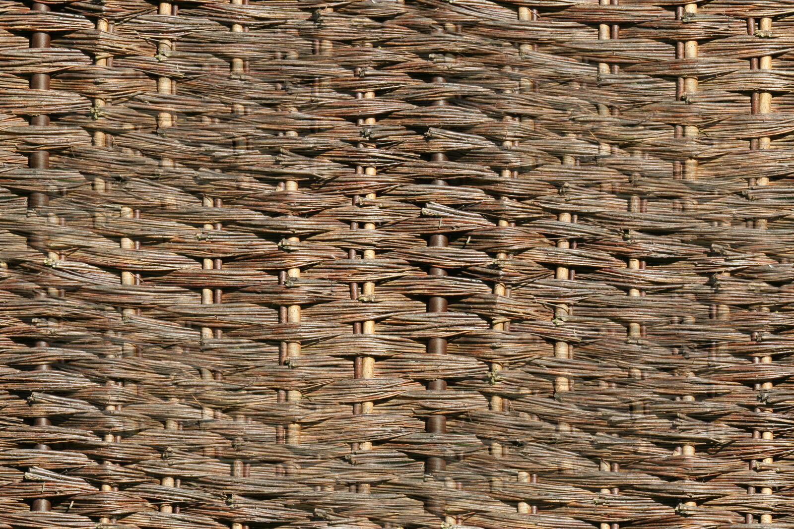 Canon EOS 350D (EOS Digital Rebel XT / EOS Kiss Digital N) sample photo. Garden, texture, traditional, willow photography