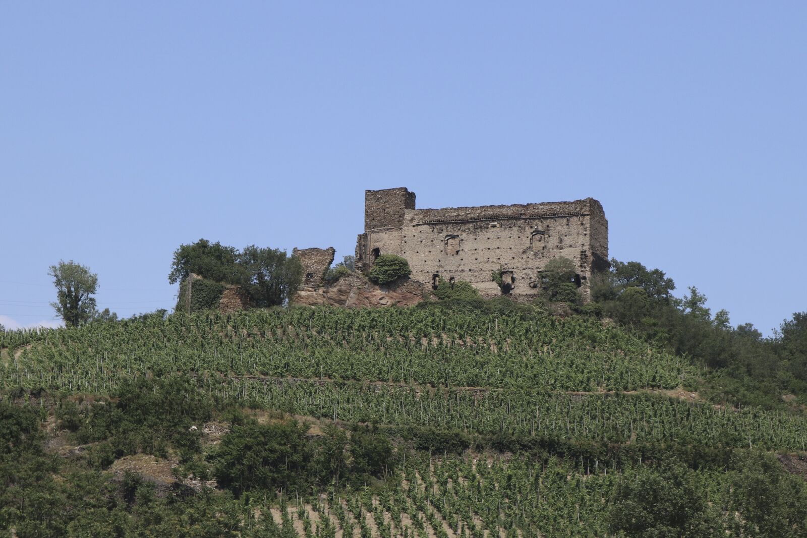 Canon EOS M100 sample photo. Ruins, protected heritage, isolated photography