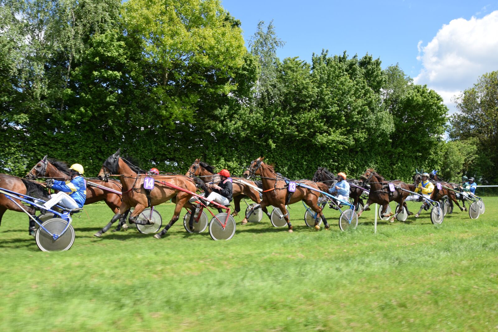 Nikon D5300 sample photo. Horse, equestrian, race photography