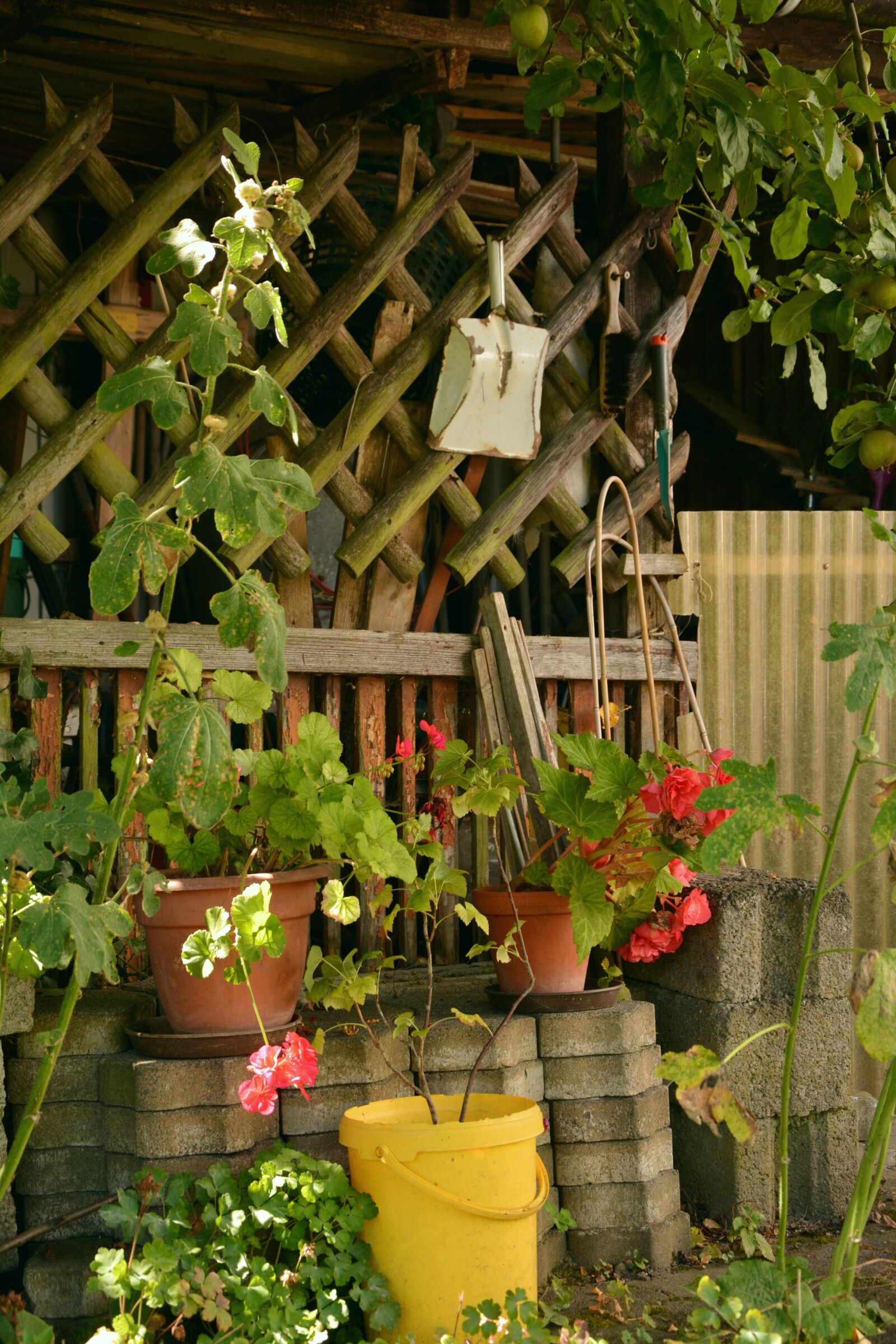 Nikon D5200 sample photo. Allotment, idyllic garden, garden photography