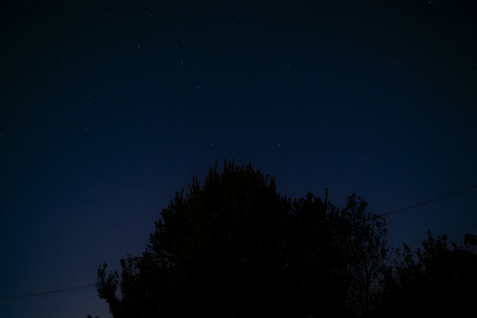 Nikon D3300 sample photo