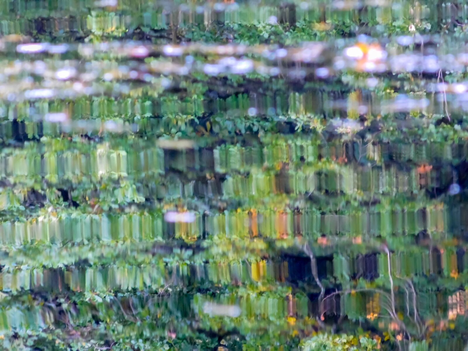 Nikon Coolpix L840 sample photo. Background, pattern, color photography