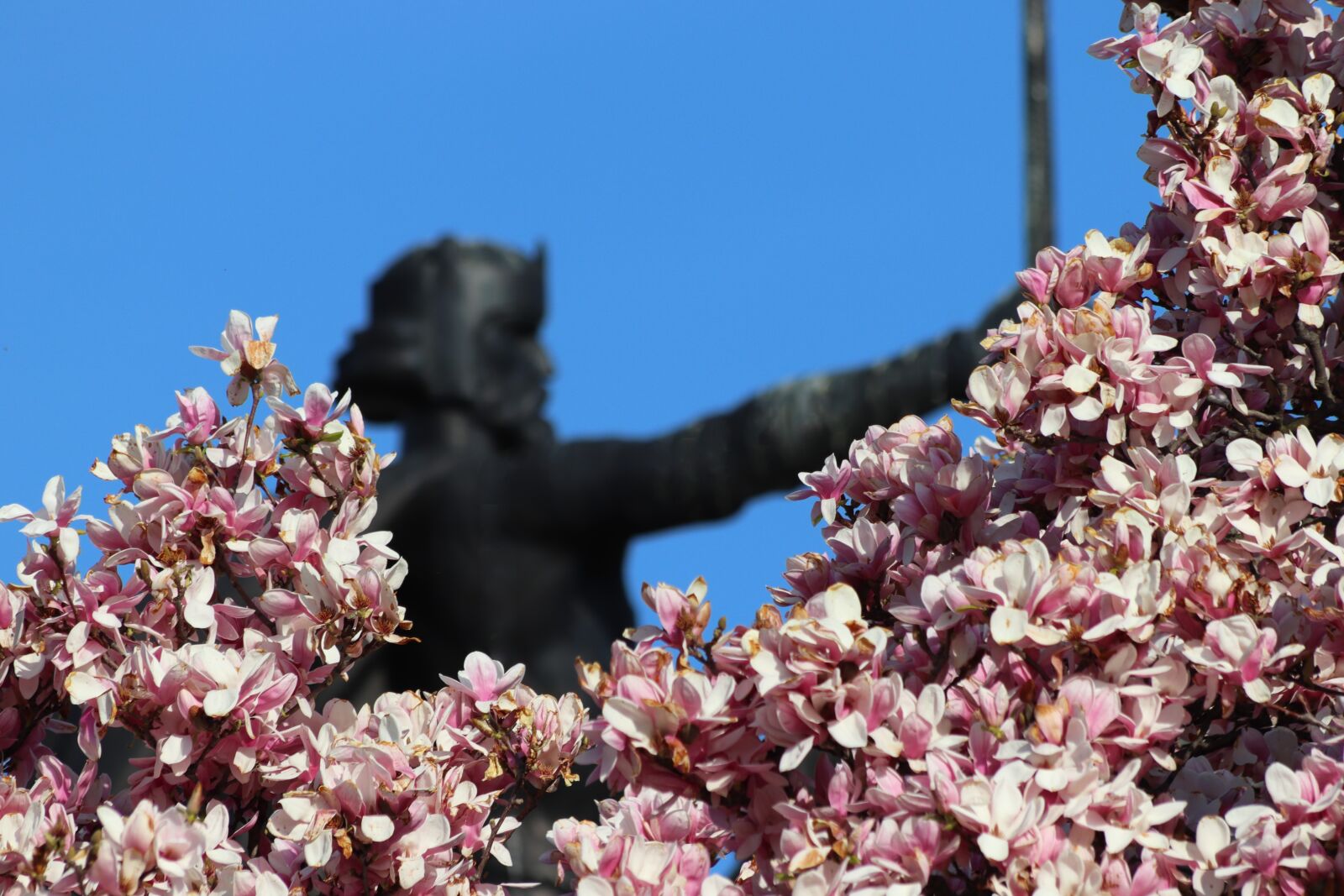 Canon EOS 200D (EOS Rebel SL2 / EOS Kiss X9) sample photo. Monument, king tomislav, statue photography