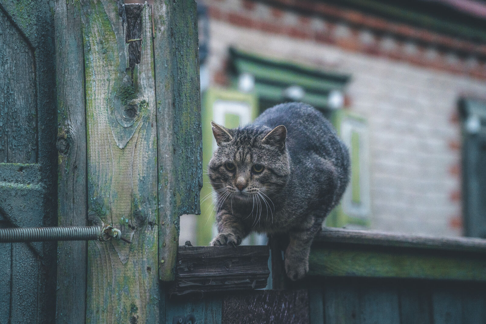Sony a7 III + Sony FE 24-105mm F4 G OSS sample photo