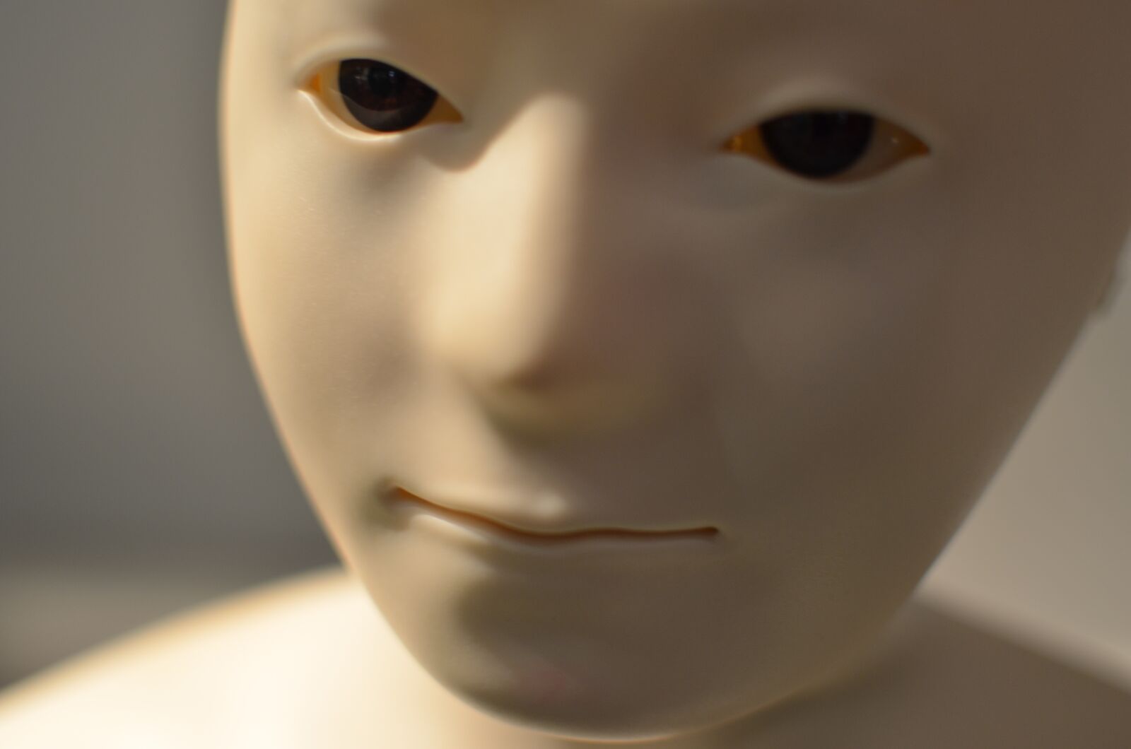 Nikon D5100 sample photo. Humanoid, robot, face photography
