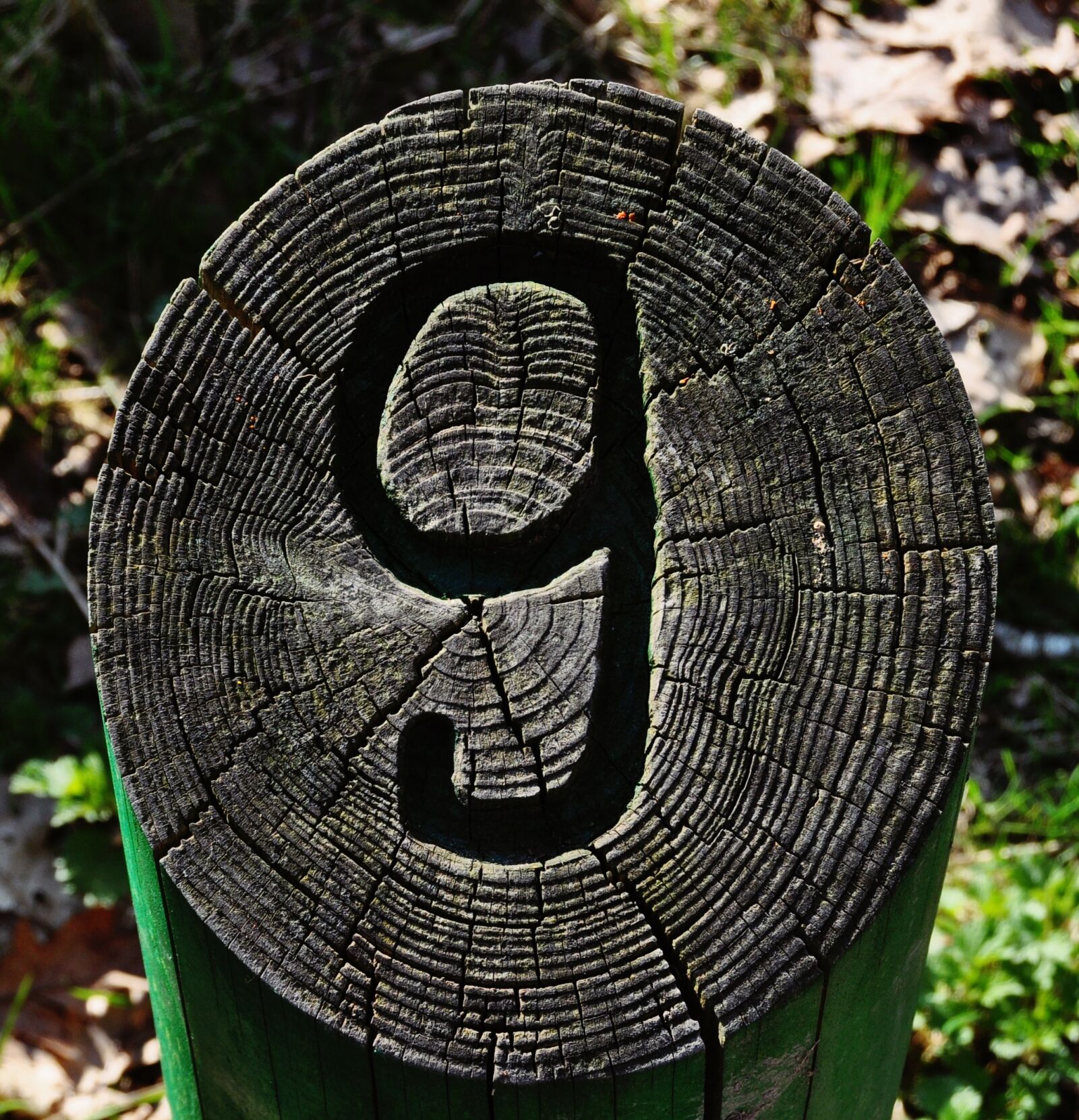 Nikon D5000 sample photo. Nine, wood, number photography