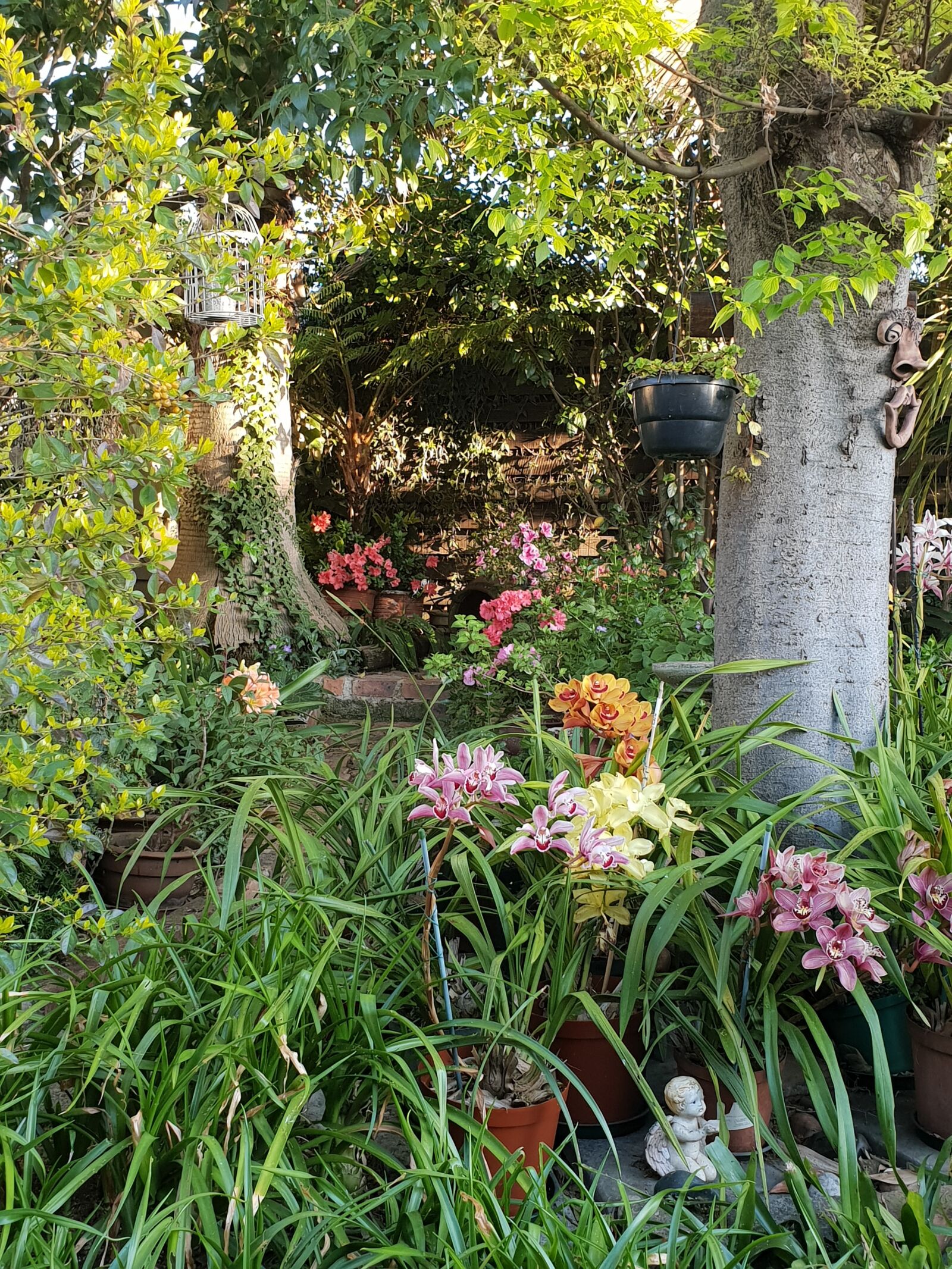 Samsung Galaxy S9 sample photo. Spring, garden, orchids photography