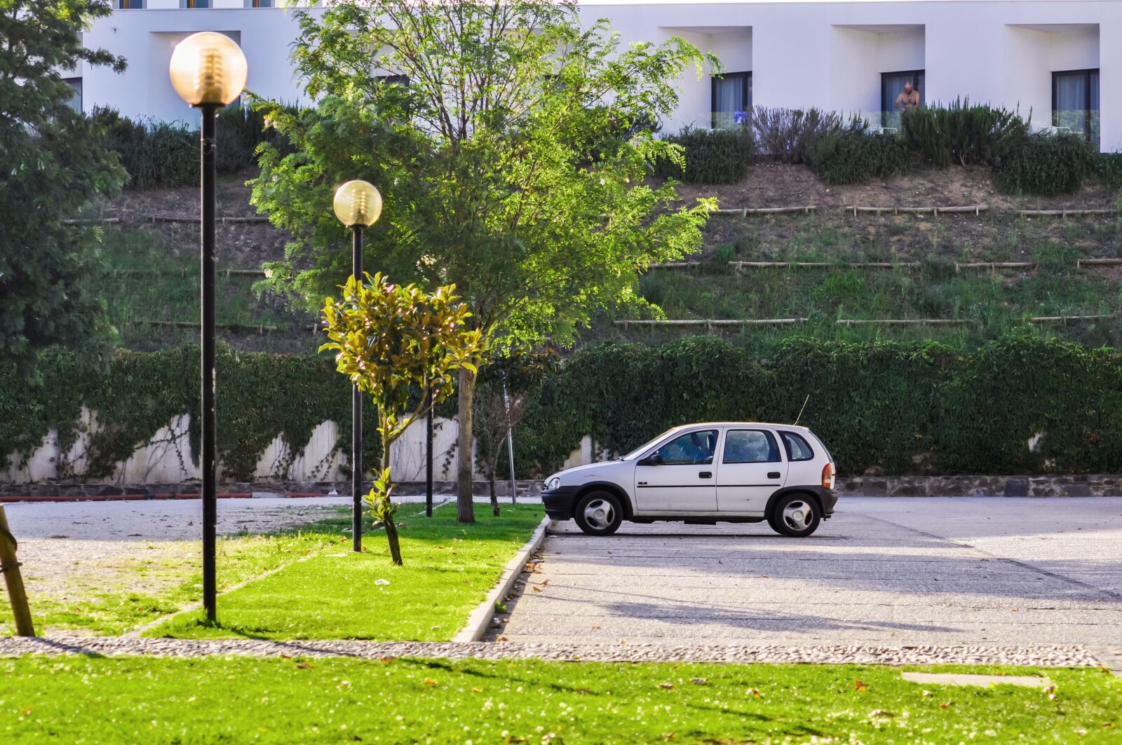 Nikon D90 sample photo. Car, green, grass photography
