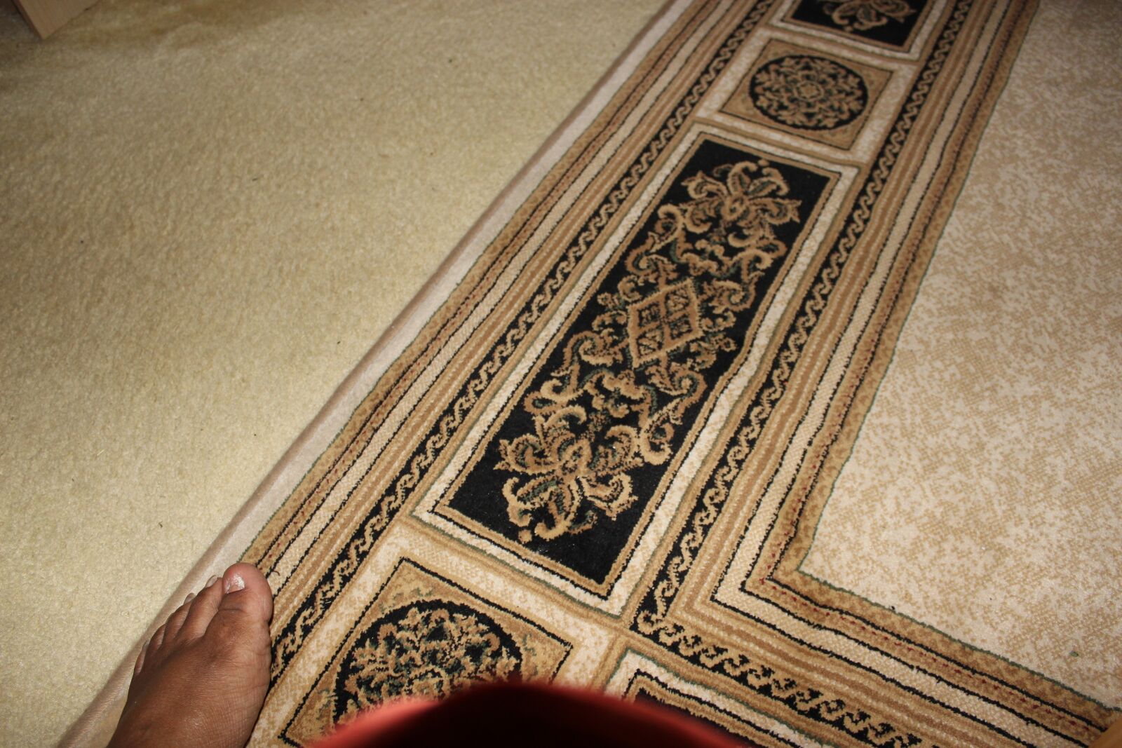 Canon EOS 600D (Rebel EOS T3i / EOS Kiss X5) sample photo. Rug, foot, geometry photography