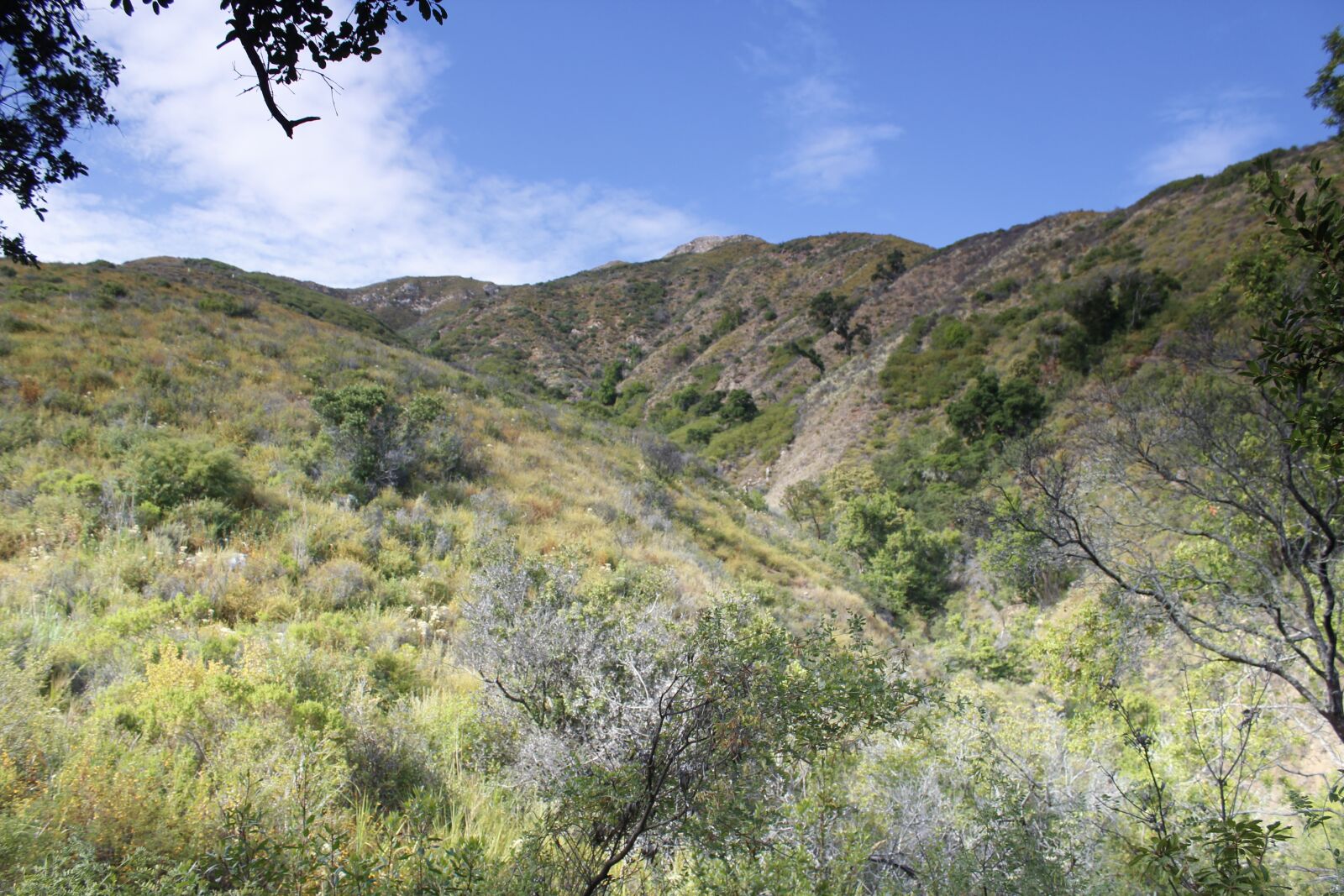 Canon EOS 600D (Rebel EOS T3i / EOS Kiss X5) sample photo. Big sur, california, nature photography