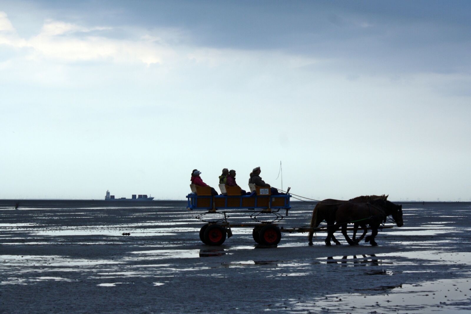 Canon EOS 1000D (EOS Digital Rebel XS / EOS Kiss F) sample photo. North sea, wadden sea photography