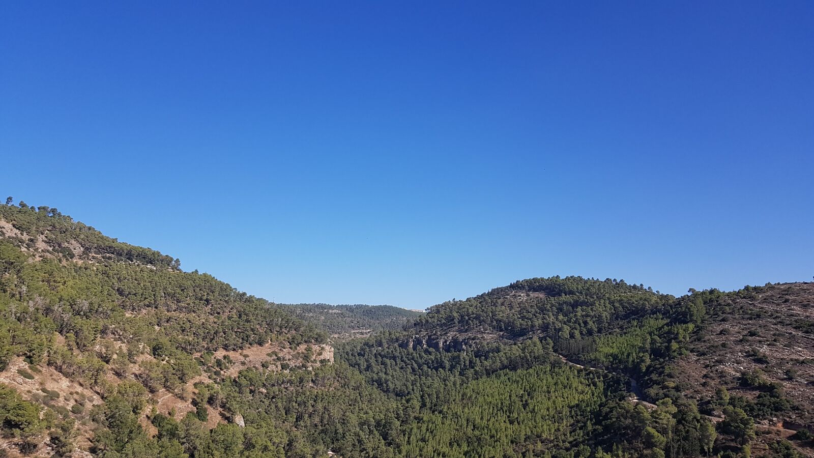Samsung Galaxy S7 sample photo. Israel mountain, trees, nature photography