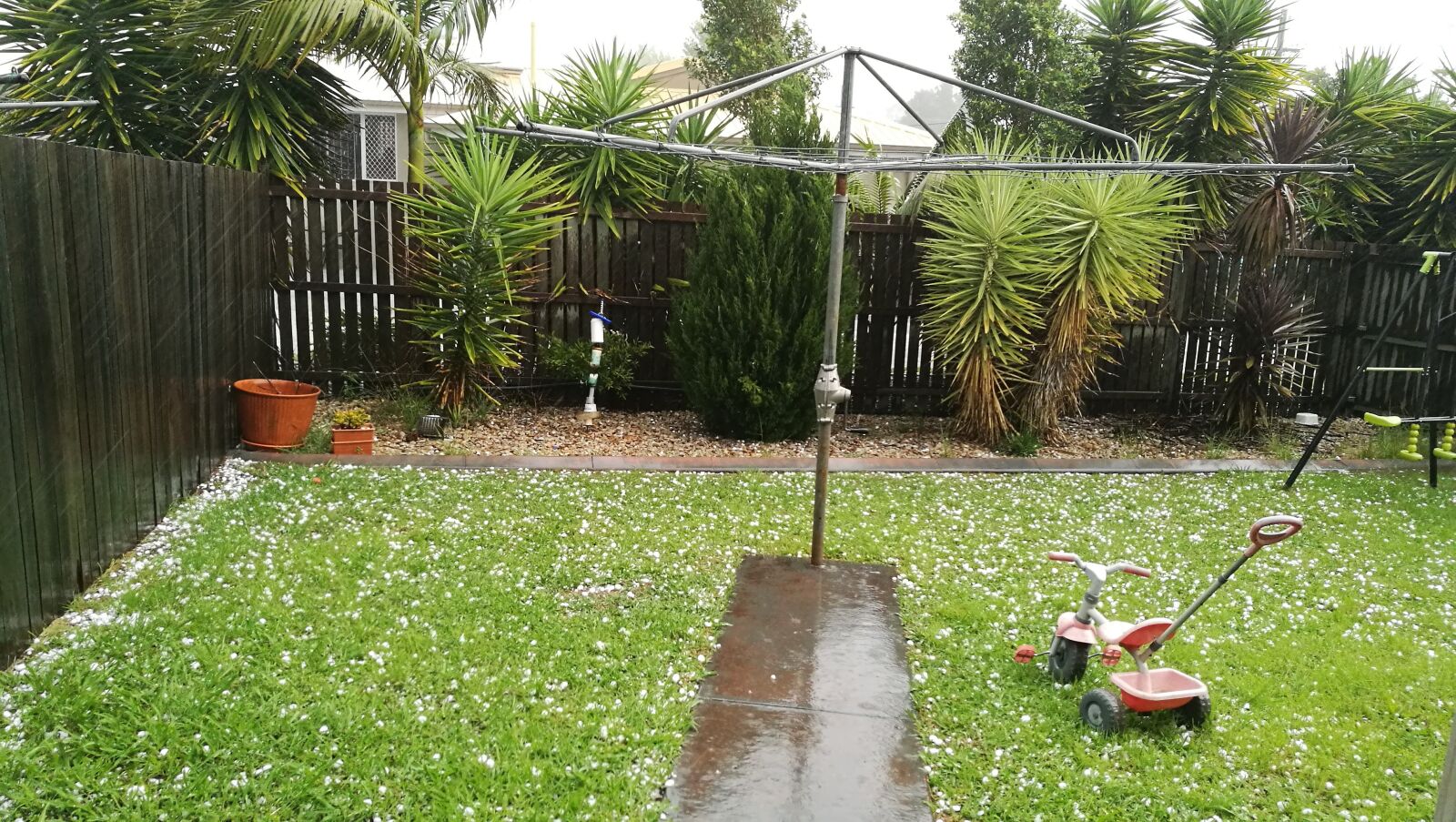 HUAWEI P9 sample photo. Hail, backyard, back yard photography