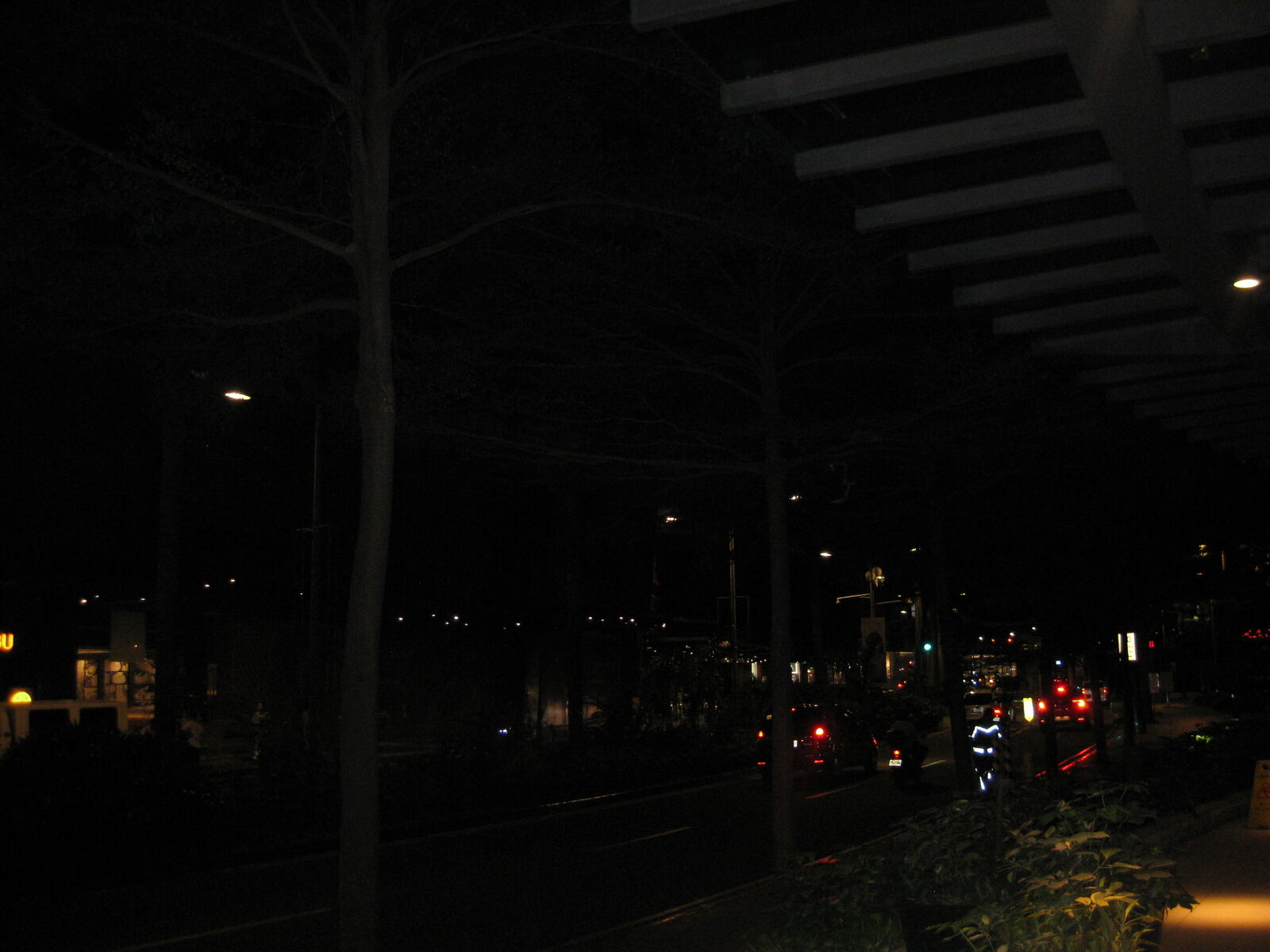 Canon PowerShot SD1100 IS (Digital IXUS 80 IS / IXY Digital 20 IS) sample photo
