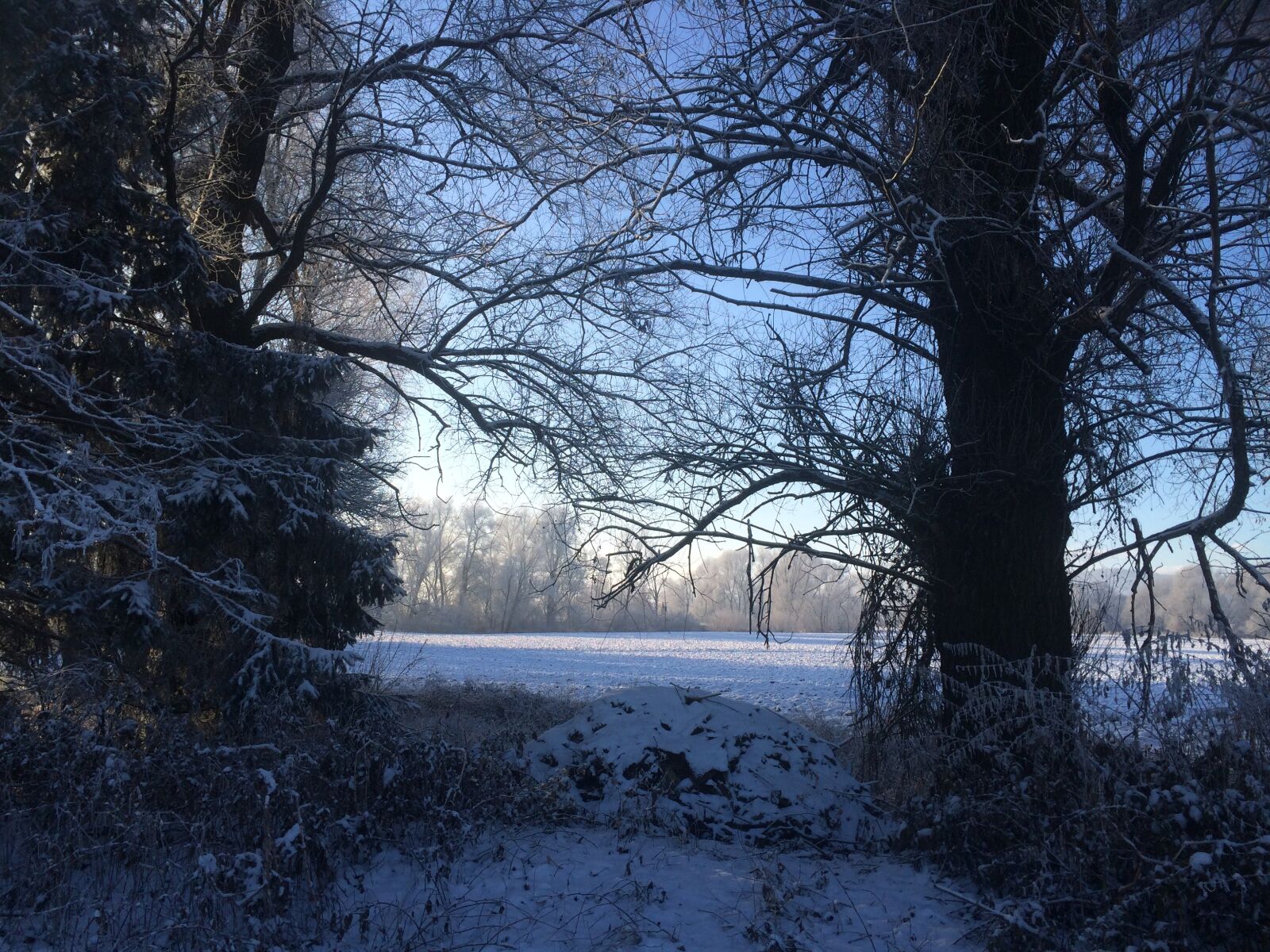 iPhone 5s back camera 4.15mm f/2.2 sample photo. Wintry, snow, morgenstimmung in photography