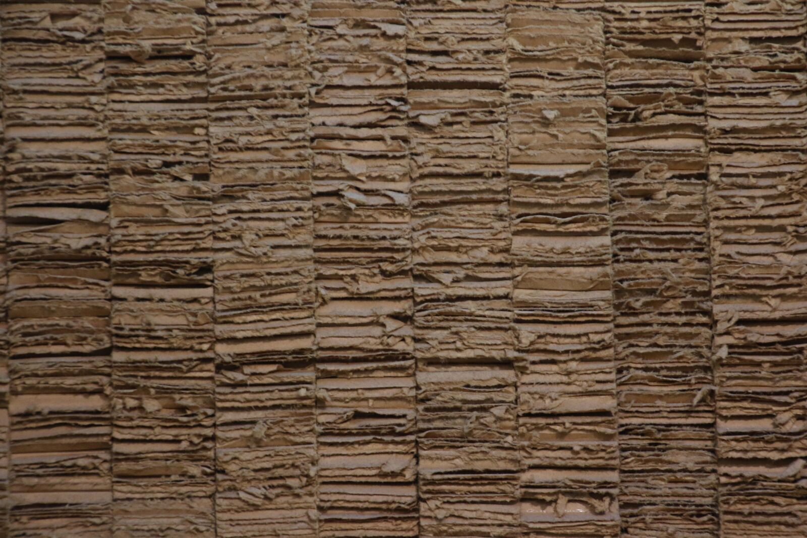 Canon EOS 7D Mark II sample photo. Brown, cardboard, paper, recycling photography