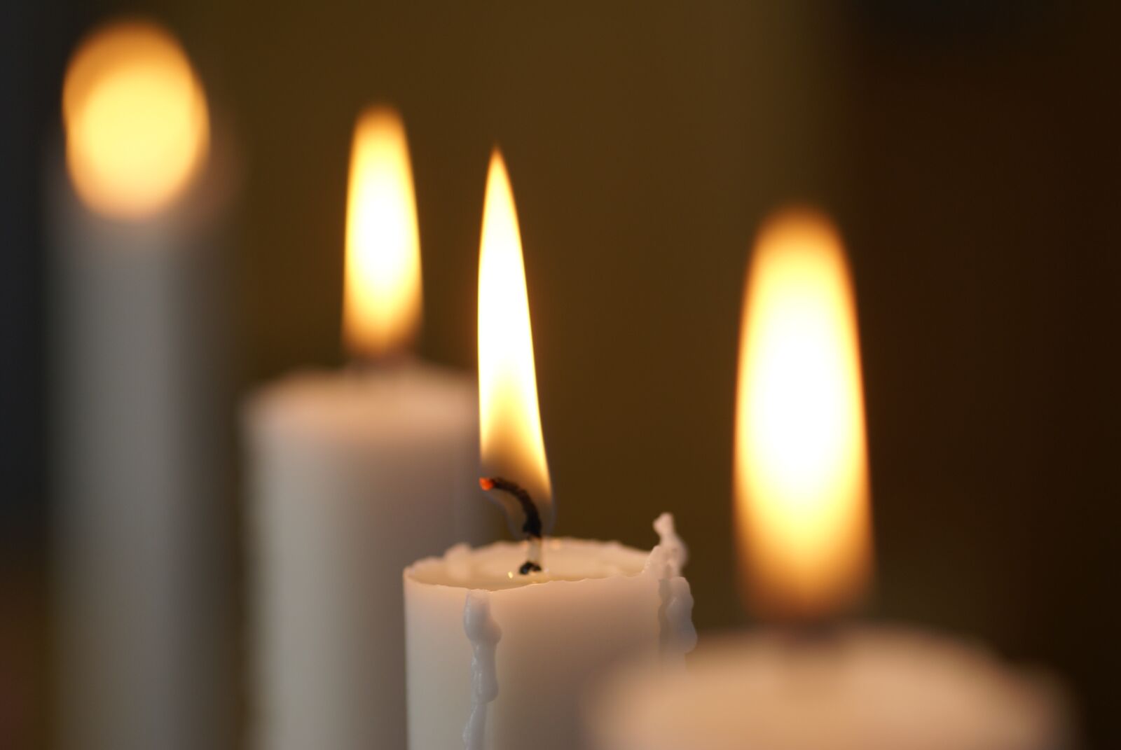 Sony Alpha DSLR-A100 sample photo. Light, advent, decoration photography