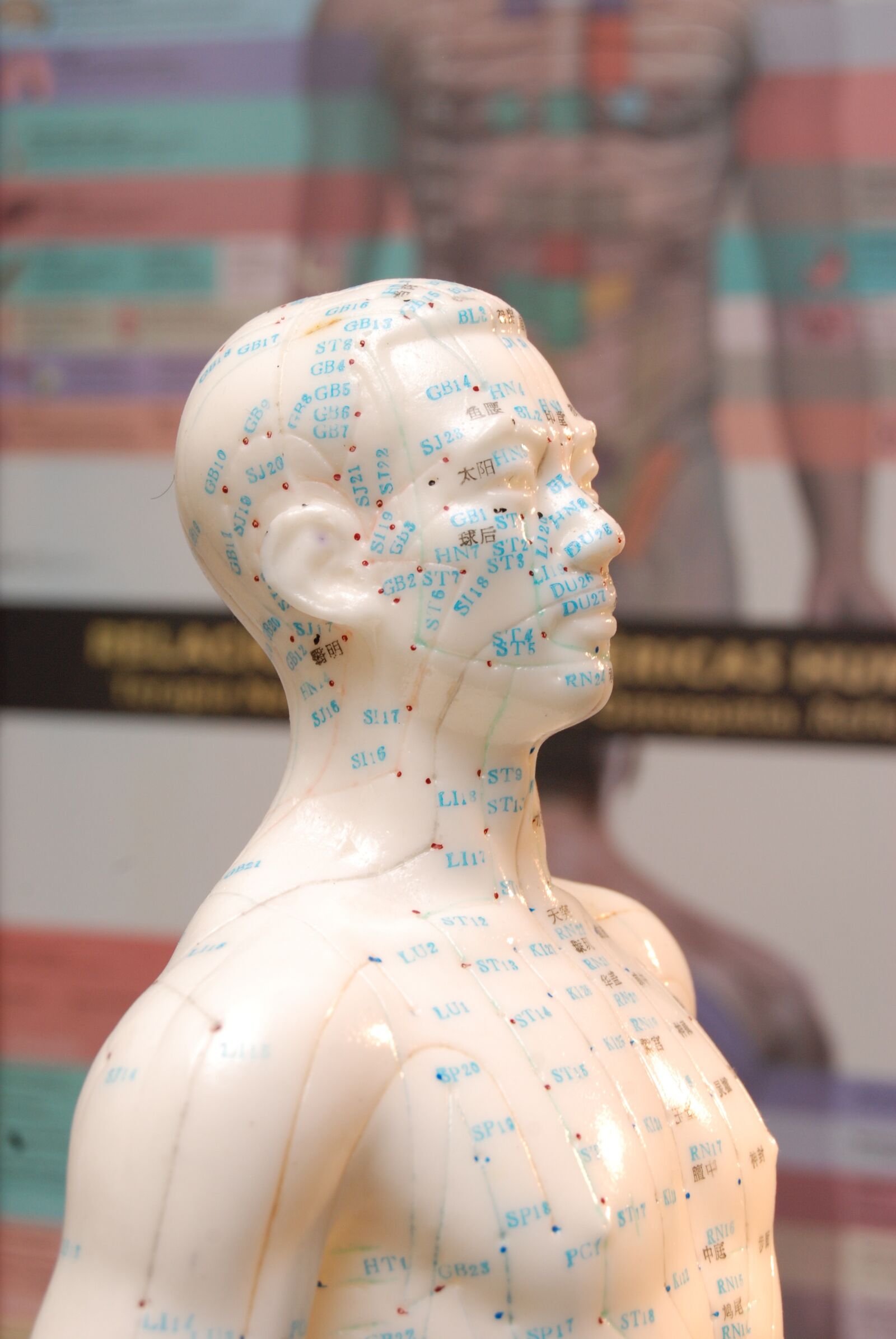 Nikon D80 sample photo. Acupuncture, medicine alternative, bioenergetics photography
