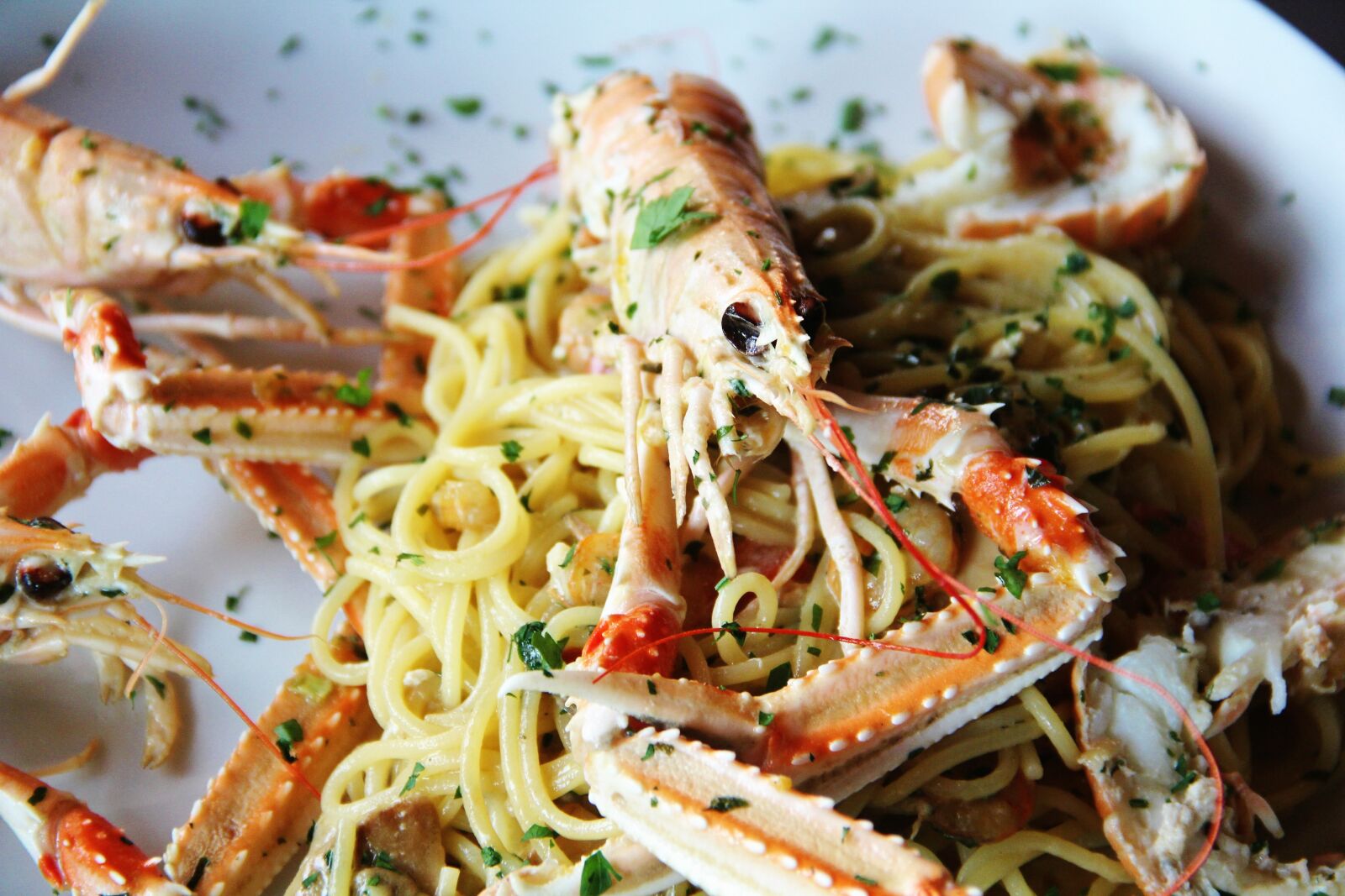 Canon EF-S 18-135mm F3.5-5.6 IS sample photo. Pasta, seafood, crawfish photography