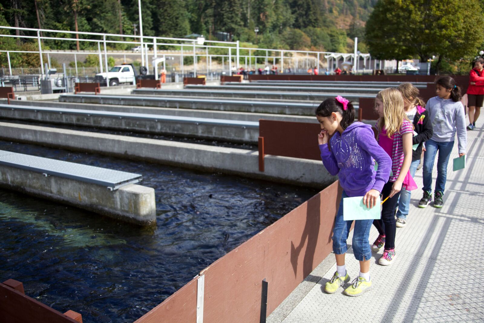 Canon EOS 5D Mark II sample photo. Educational, hatchery, tours, children photography