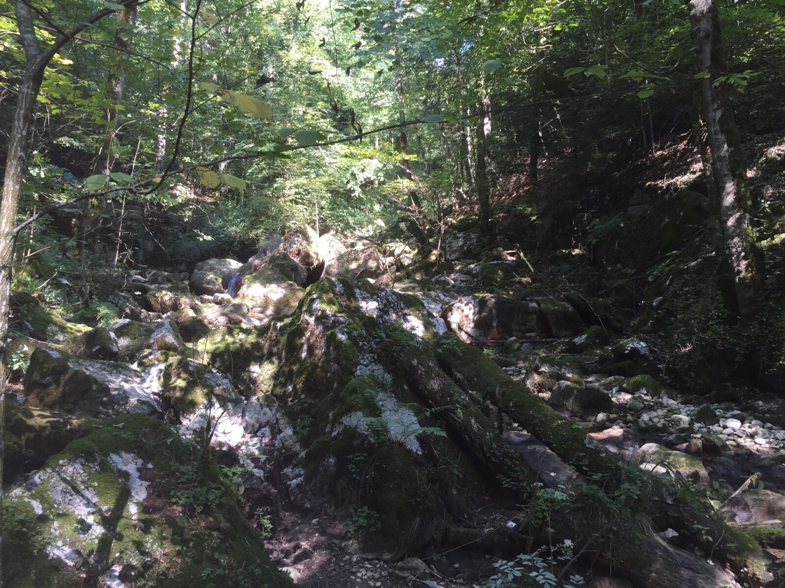 iPhone 6 back camera 4.15mm f/2.2 sample photo. Mossy, rocks photography