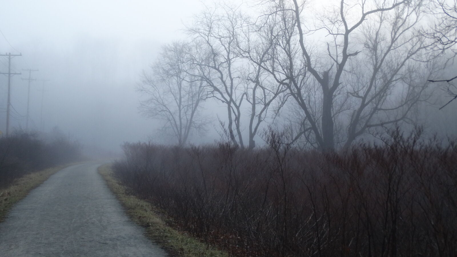 Sony Cyber-shot DSC-HX300 sample photo. Mist, morning, fog, trail photography