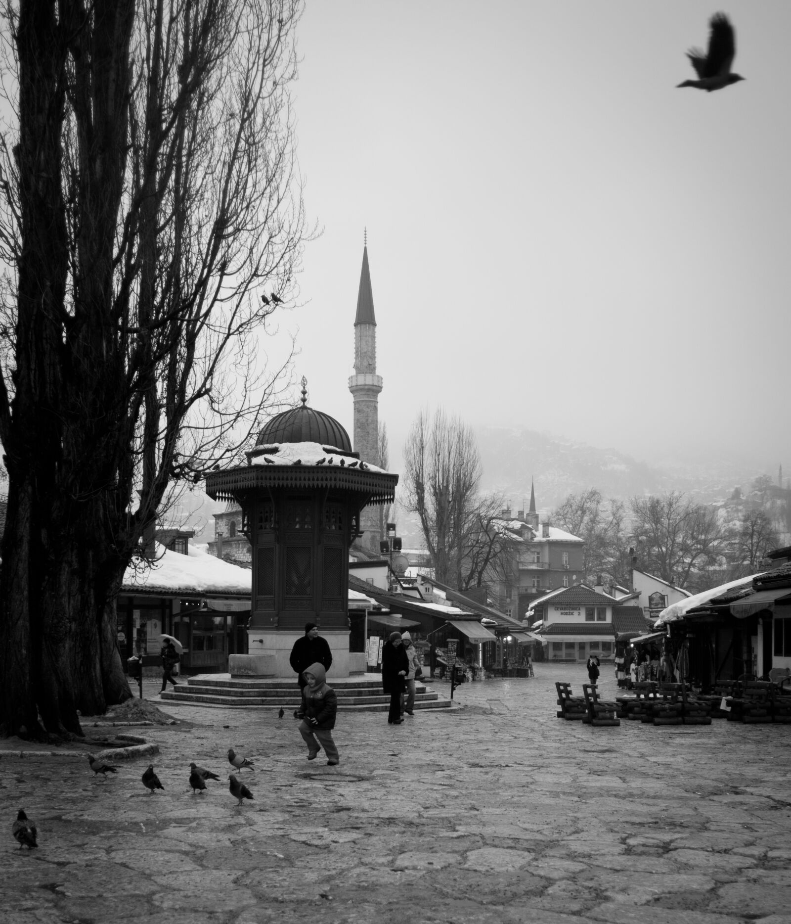 AF Nikkor 20mm f/2.8 sample photo. Sarajevo, bascarsija, sebilj, bwphoto photography