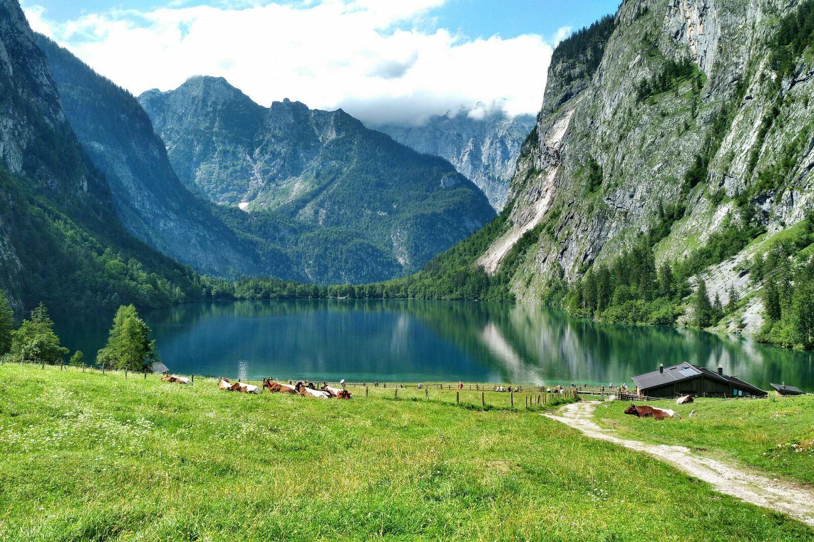 nubia Z11 MINI sample photo. Fischunkelalm, upper lake, cows photography