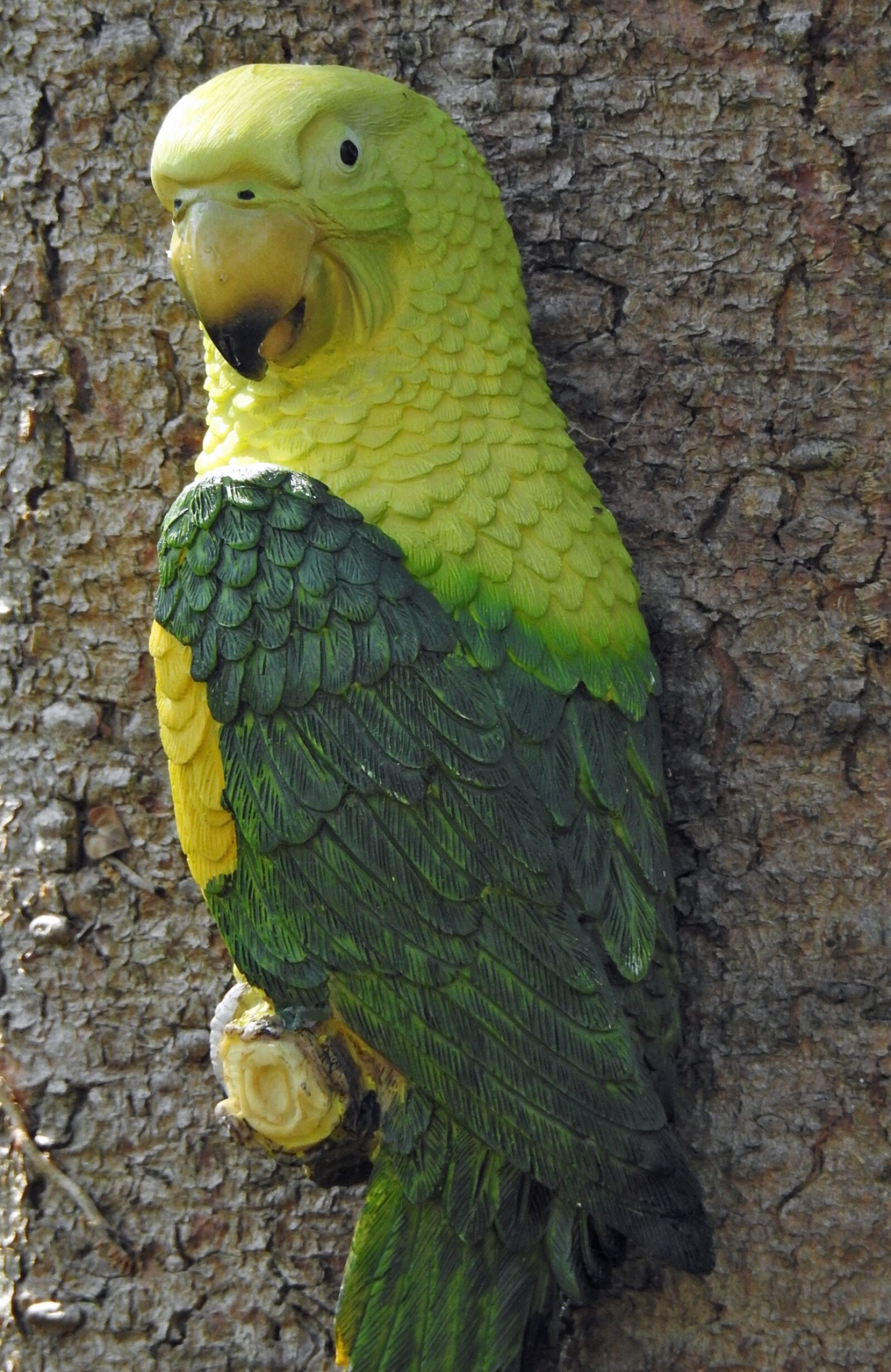 Nikon Coolpix P900 sample photo. Parrot, tree, birds photography