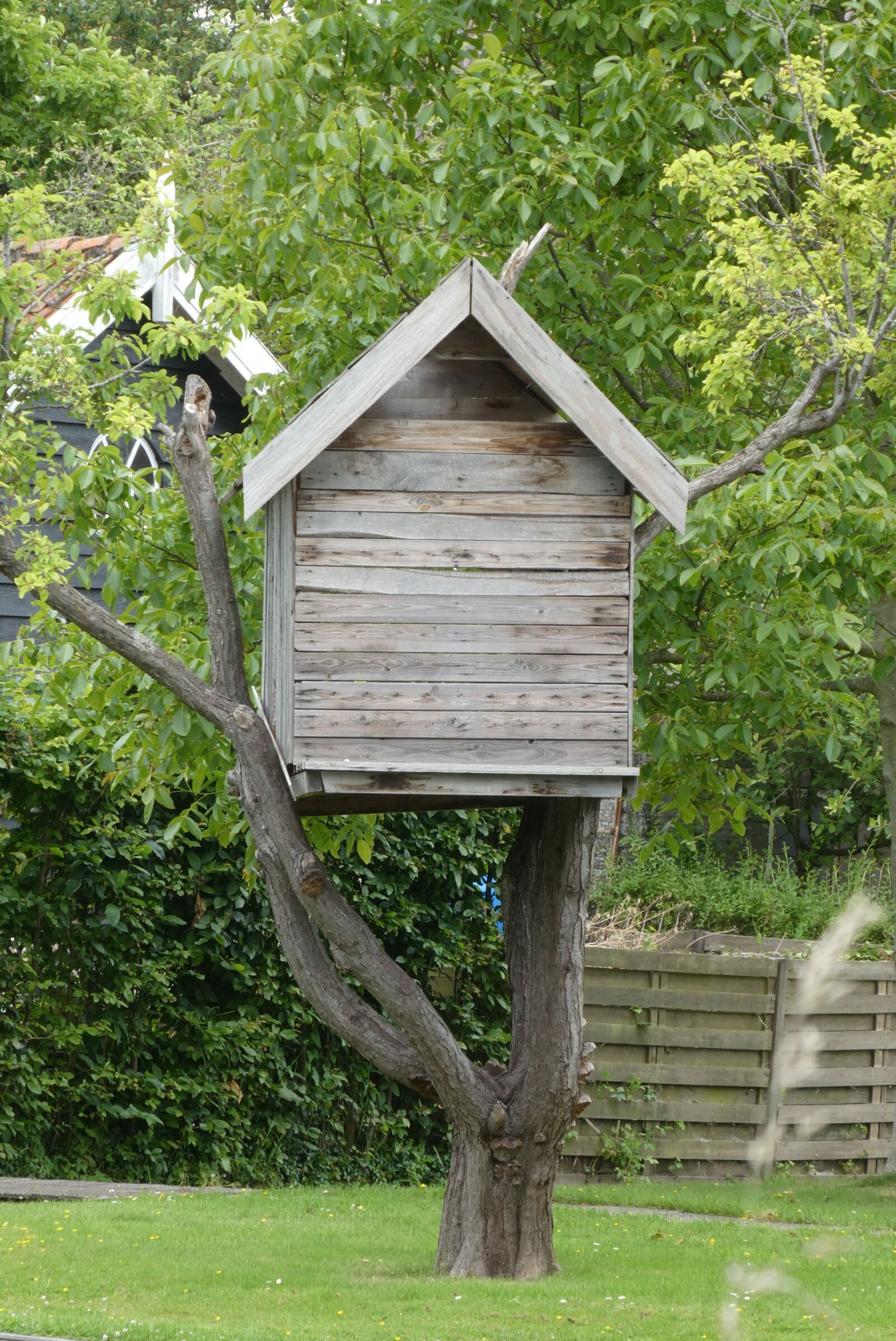 Panasonic Lumix DC-ZS70 (Lumix DC-TZ90) sample photo. Tree, hut, wood photography