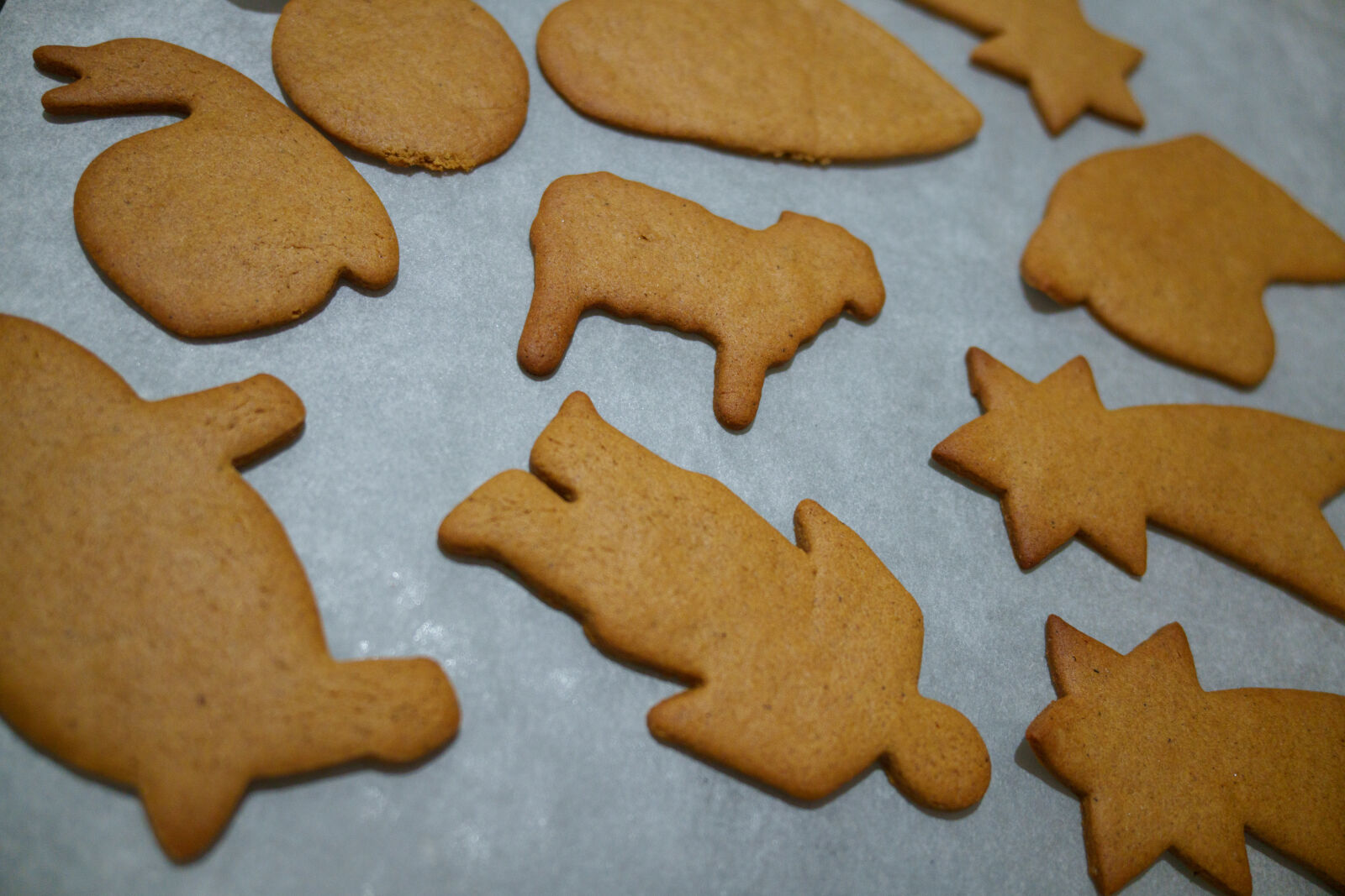 Samyang Remaster Slim 28mm F3.5 sample photo. Baked gingerbread photography