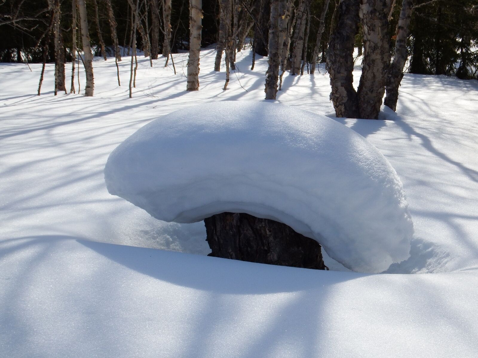 Fujifilm FinePix S1 sample photo. Winter, snow, snowdrifts photography