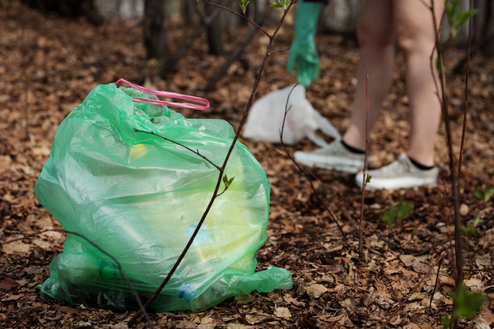 Sigma 85mm F1.4 DG HSM Art sample photo. Nature, garbage, pollution photography