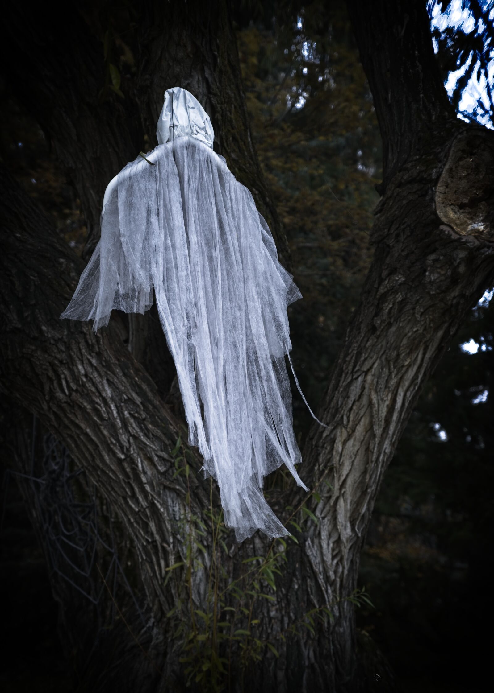Sony FE 24-105mm F4 G OSS sample photo. Halloween, effigy, ghost photography
